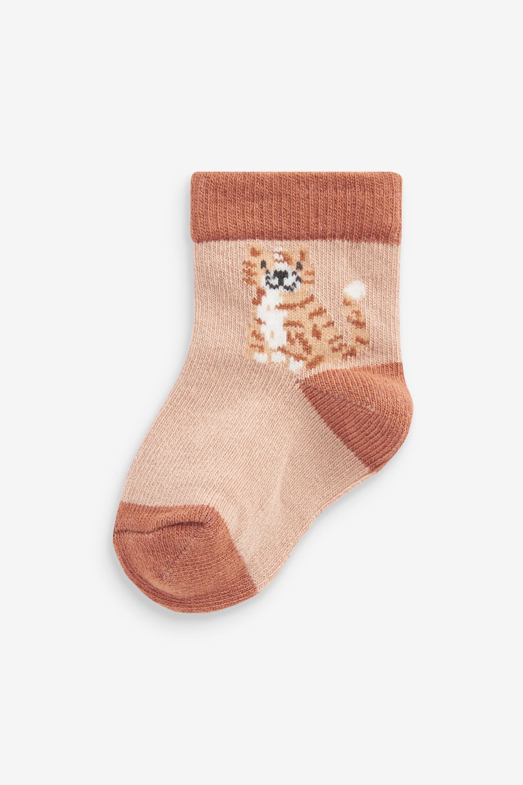 Brown Lion Baby Socks 5 Pack (0mths-2yrs)