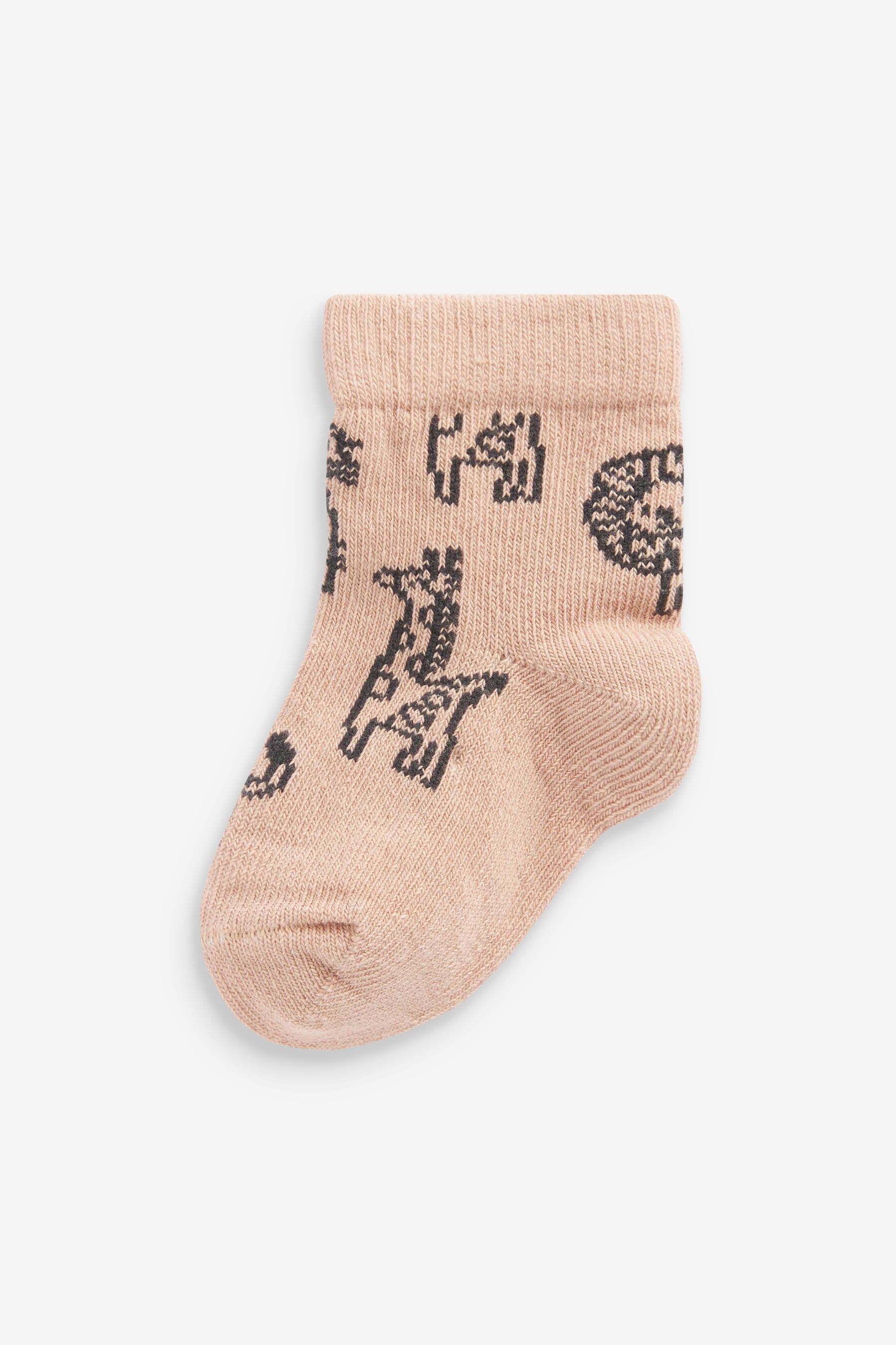 Brown Lion Baby Socks 5 Pack (0mths-2yrs)