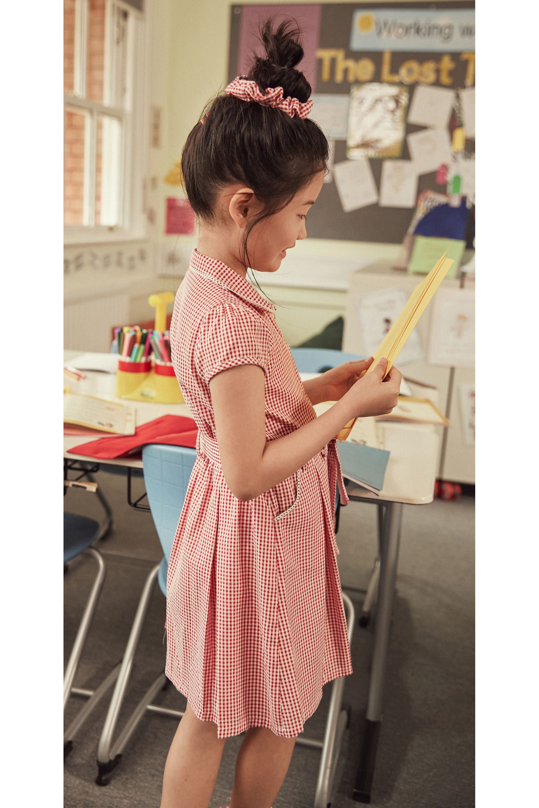 Red Gingham 100% Cotton Rich Belted School Dress With Scrunchie (3-14yrs)