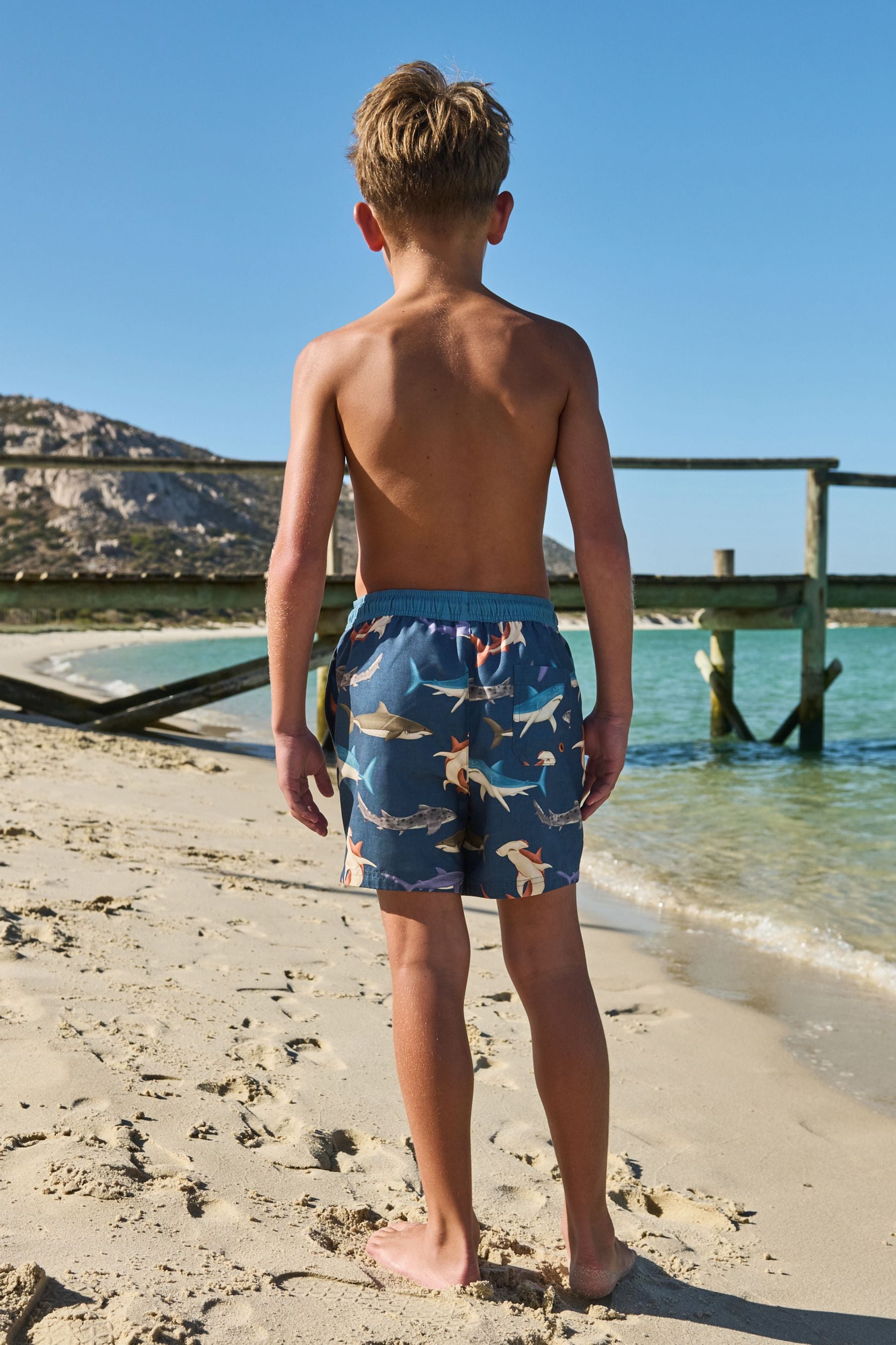 Navy Large Shark Printed Swim Shorts (3mths-16yrs)