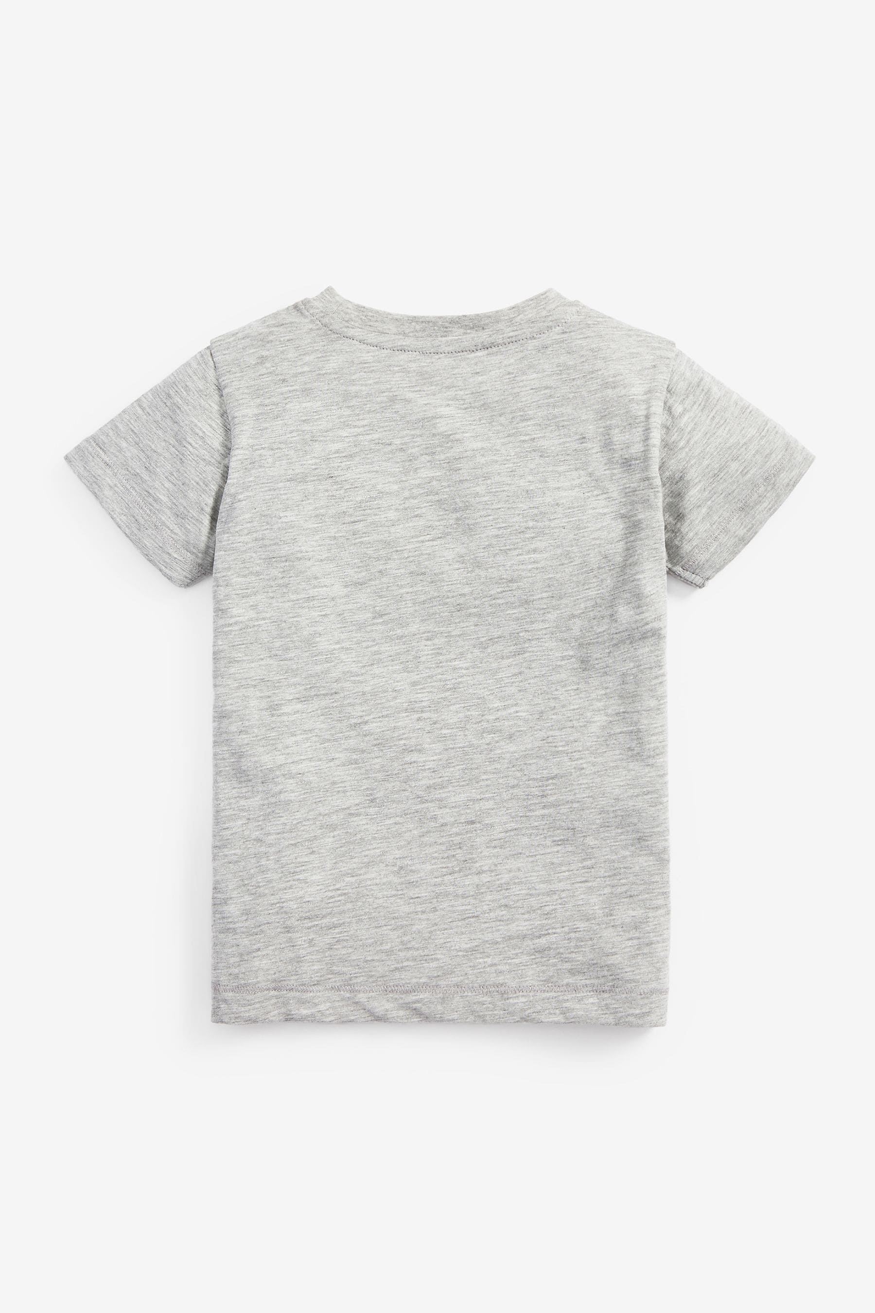 Grey 100% Cotton Short Sleeve Plain T-Shirt (3mths-7yrs)