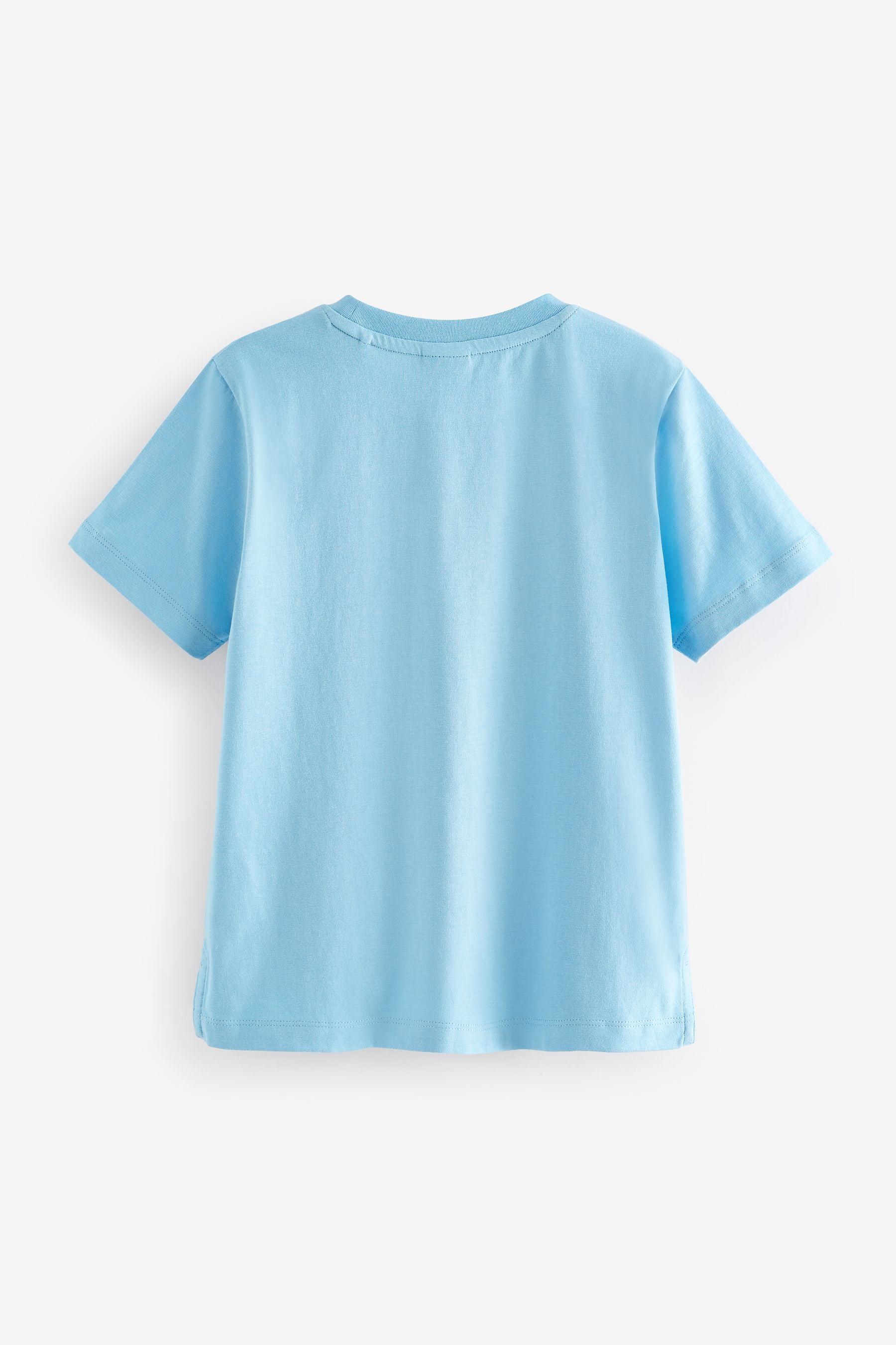 Blue Baker by Ted Baker Blue 100% Cotton T-Shirt