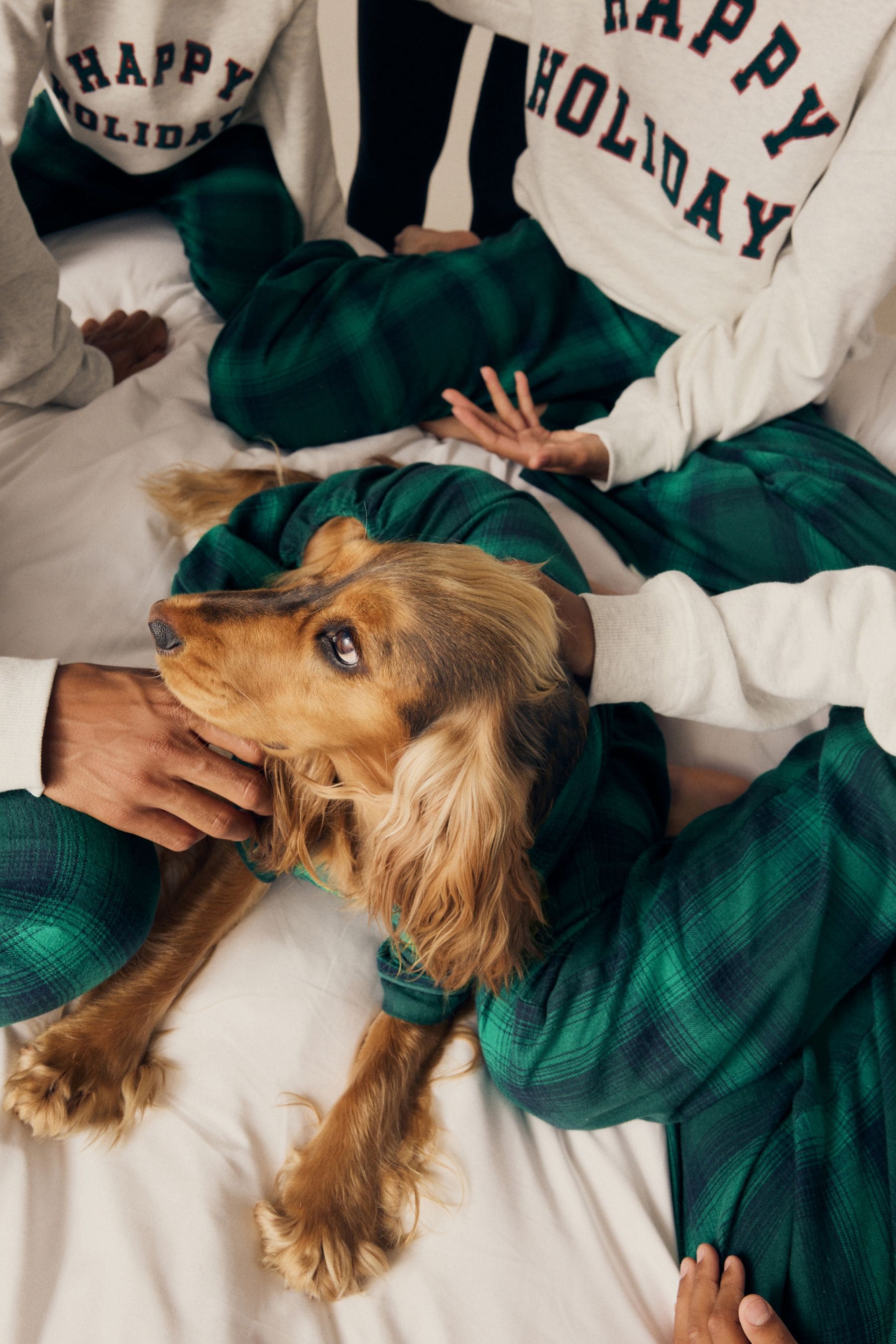 Grey/Green Mens Matching Family Christmas Happy Holidays Pyjamas