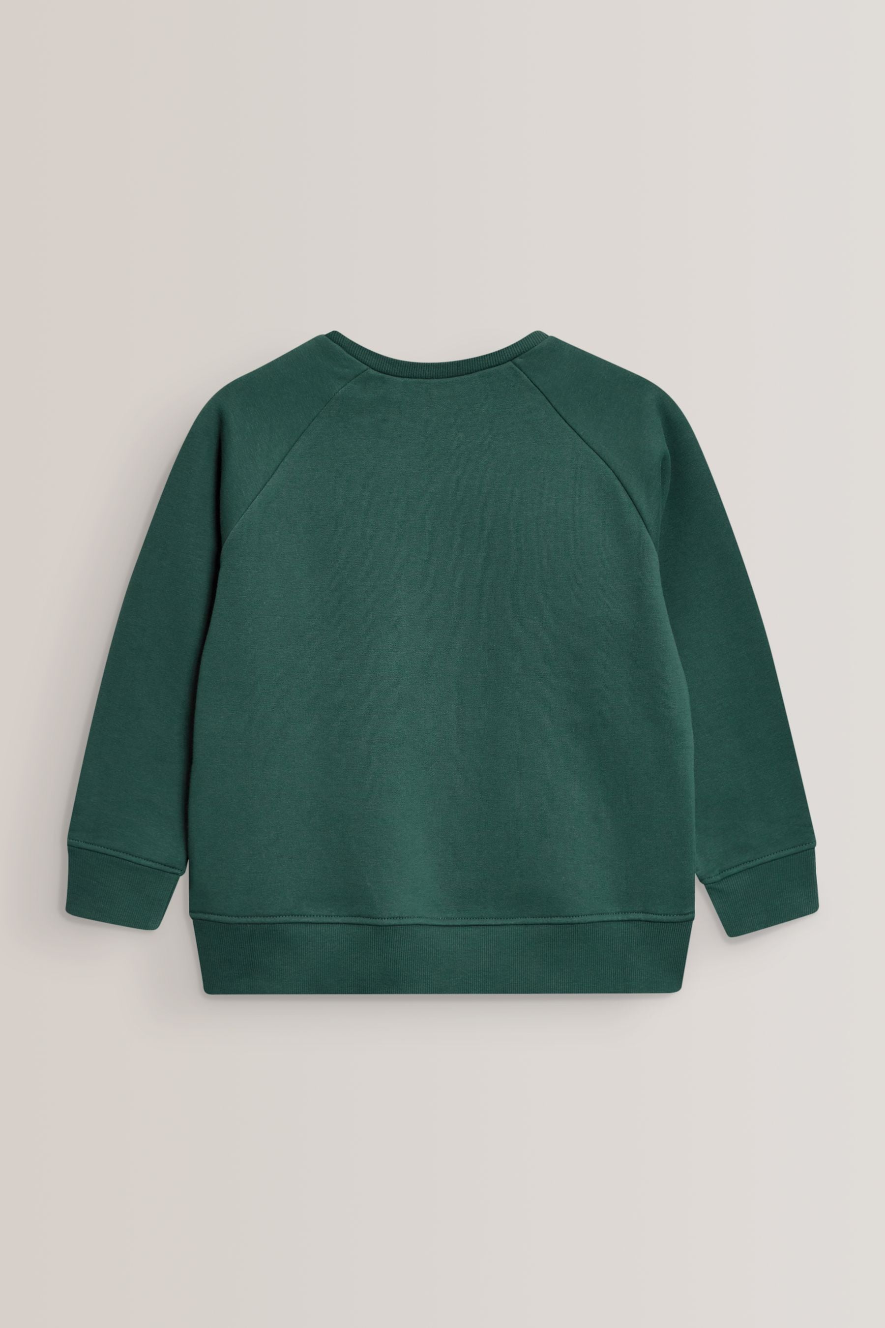 Green 1 Pack Crew Neck School Sweater (3-16yrs)