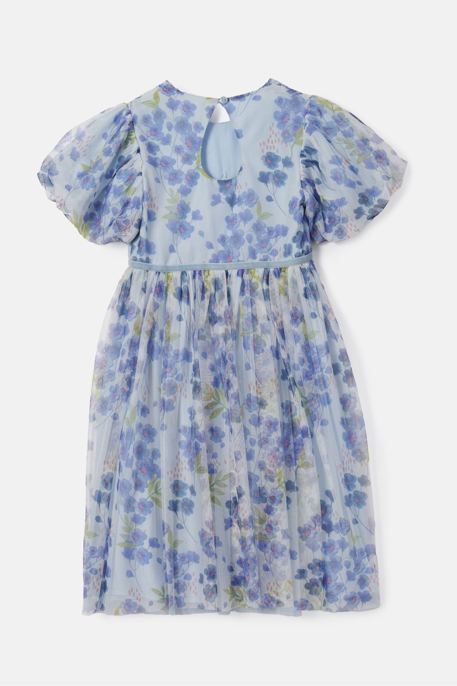 Angel & Rocket Blue Mina Printed Mesh Dress