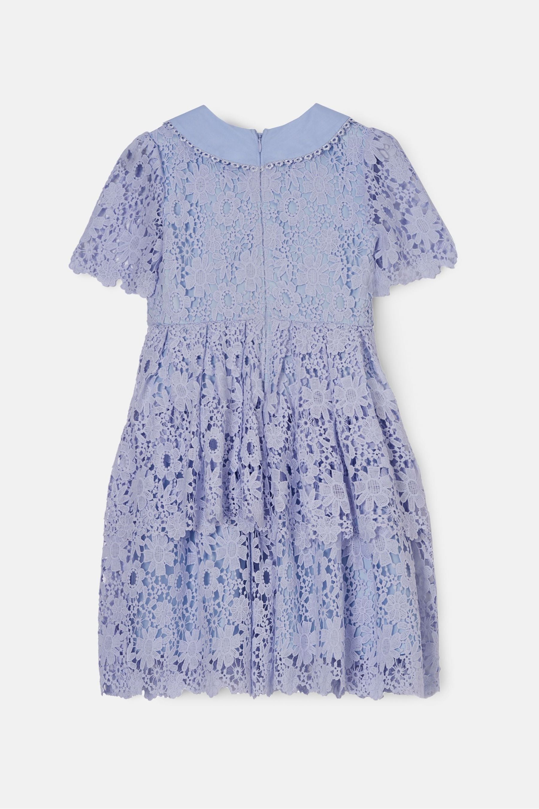 Angel & Rocket Cornflower Blue Mavea Lace Dress