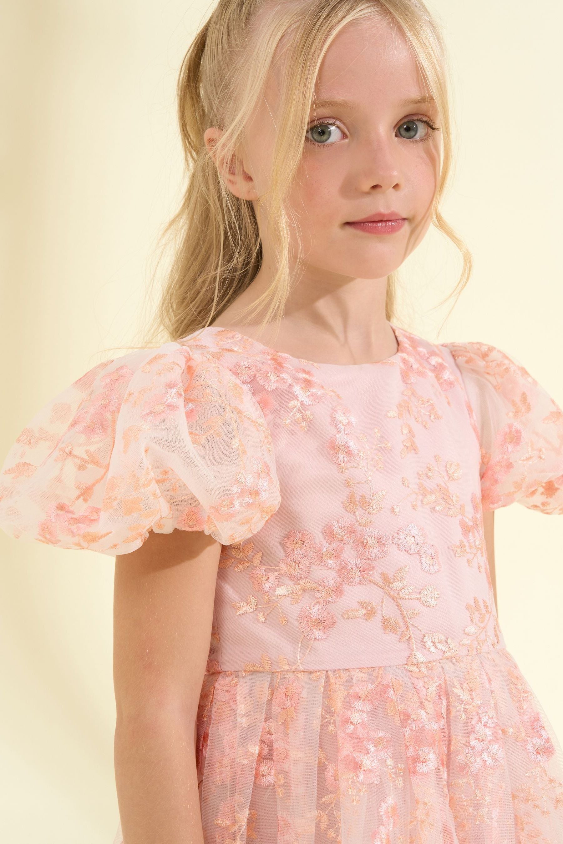 Pink Angel & Rocket Noemie Embroidered Dress