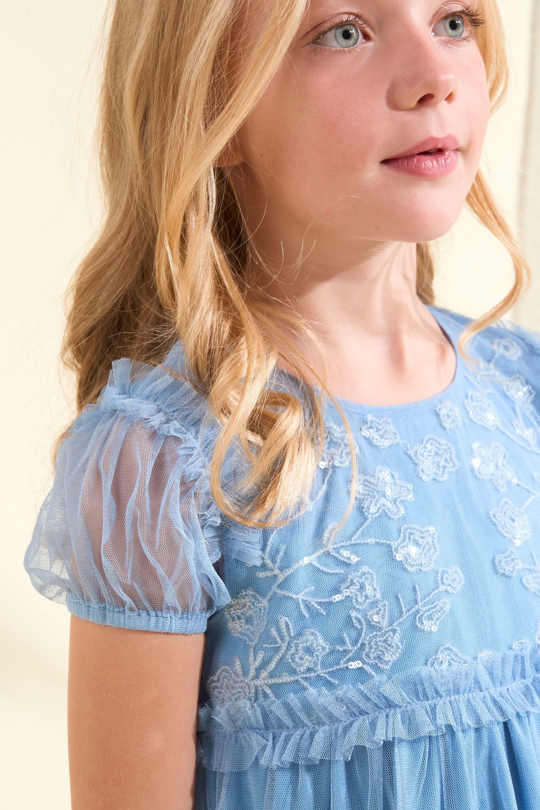 Blue Angel & Rocket Luisa Embroidered Yoke Mesh Dress