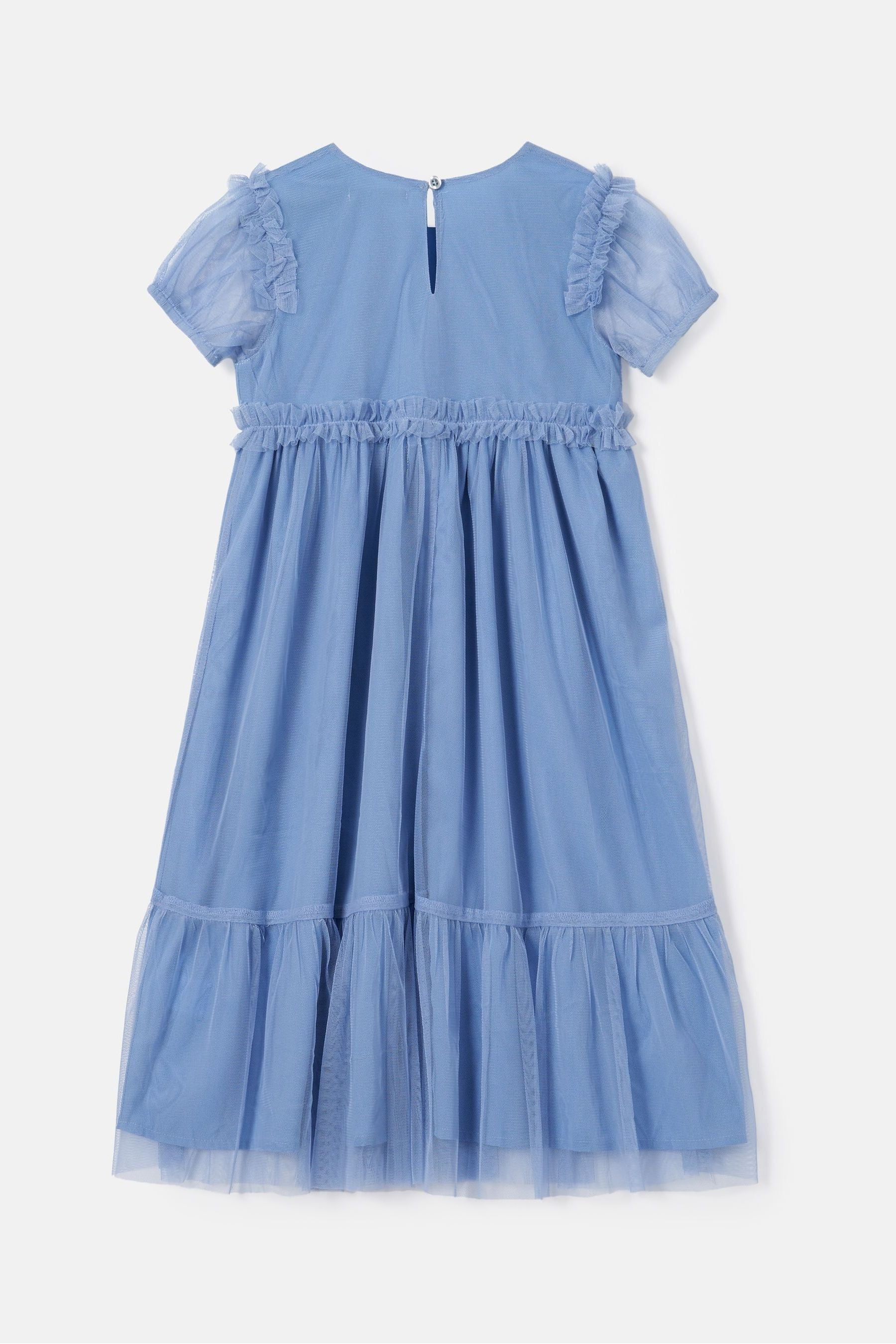 Blue Angel & Rocket Luisa Embroidered Yoke Mesh Dress