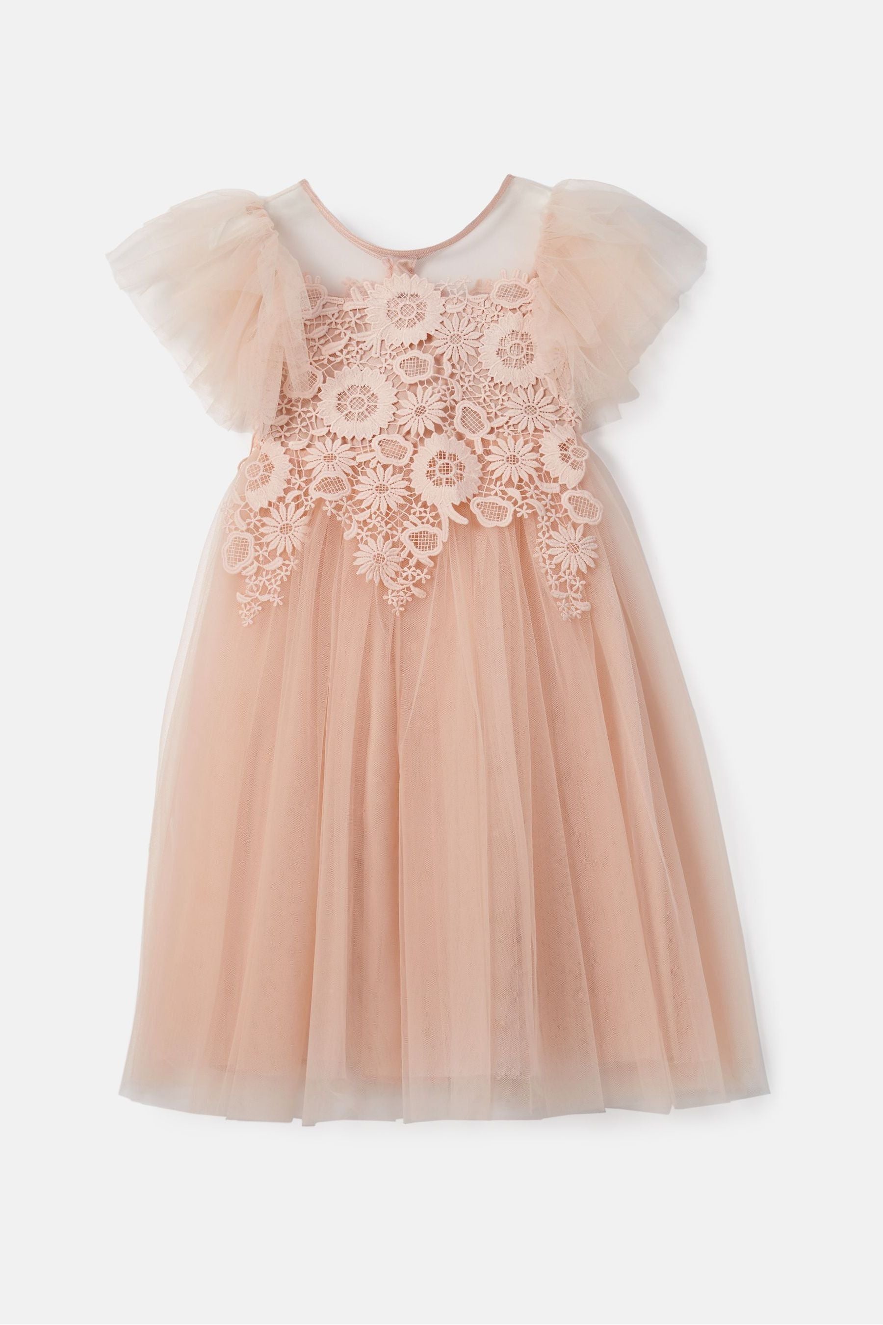 Angel & Rocket Pink Cascade Lace Anelise Dress