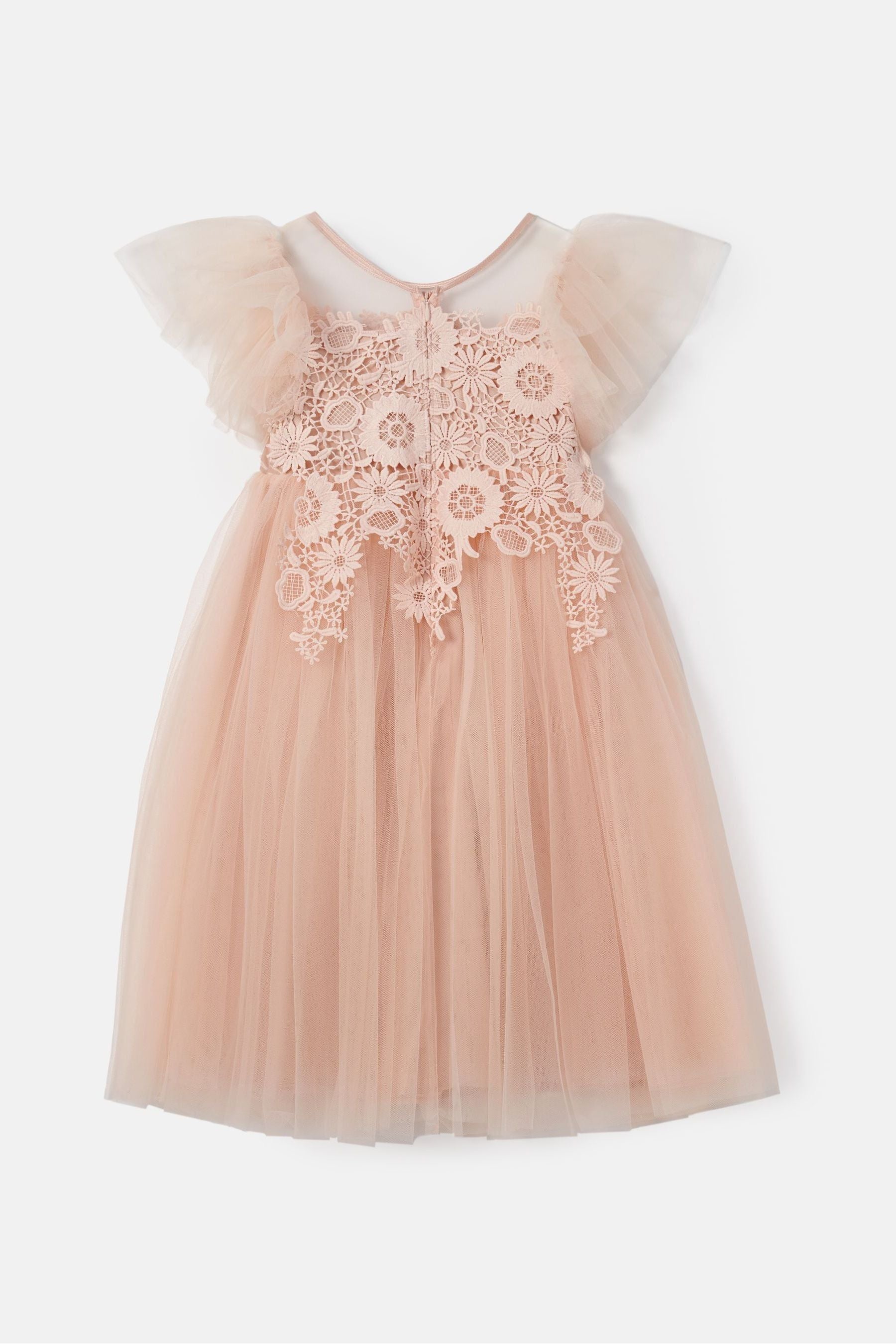 Angel & Rocket Pink Cascade Lace Anelise Dress