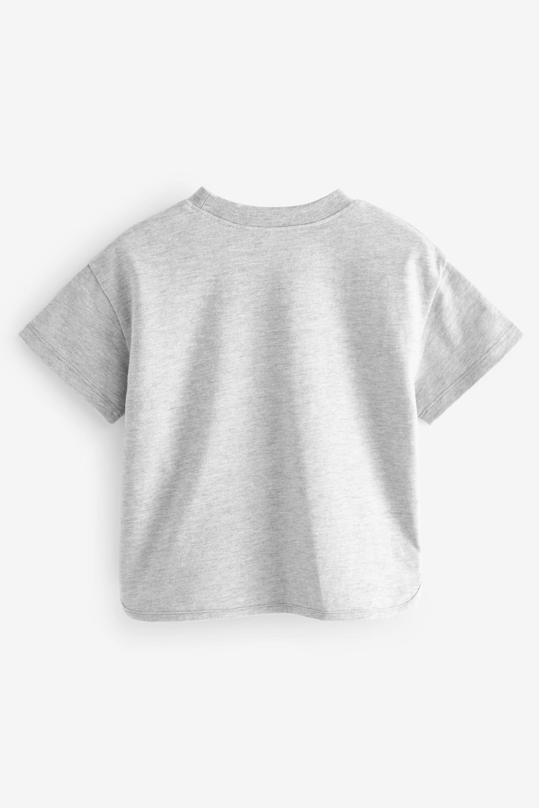 Grey 100% Cotton Short Sleeve Appliqué T-Shirt (3mths-7yrs)