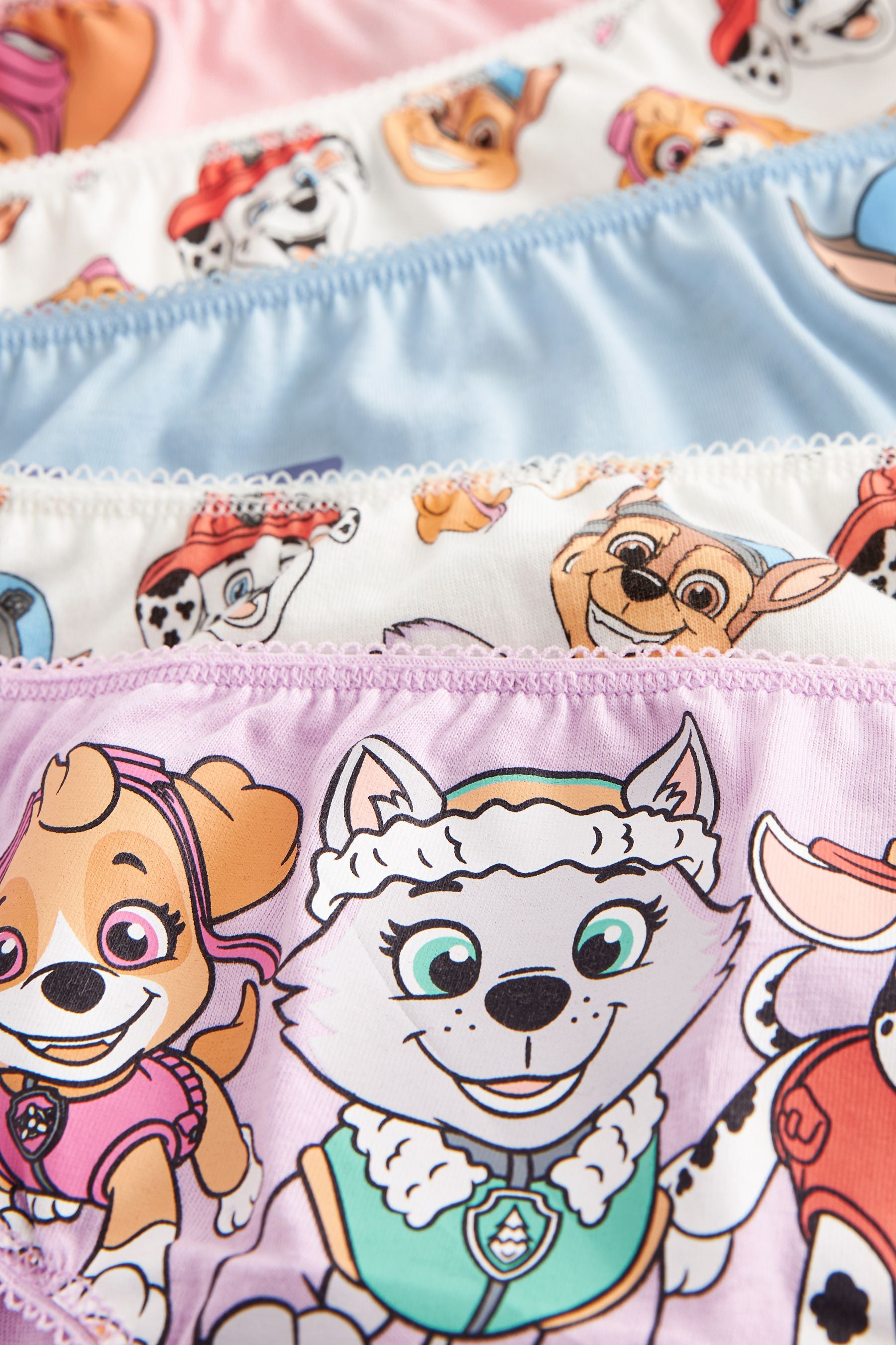 Blue/Pink Paw Patrol Briefs 5 Pack (2-8yrs)