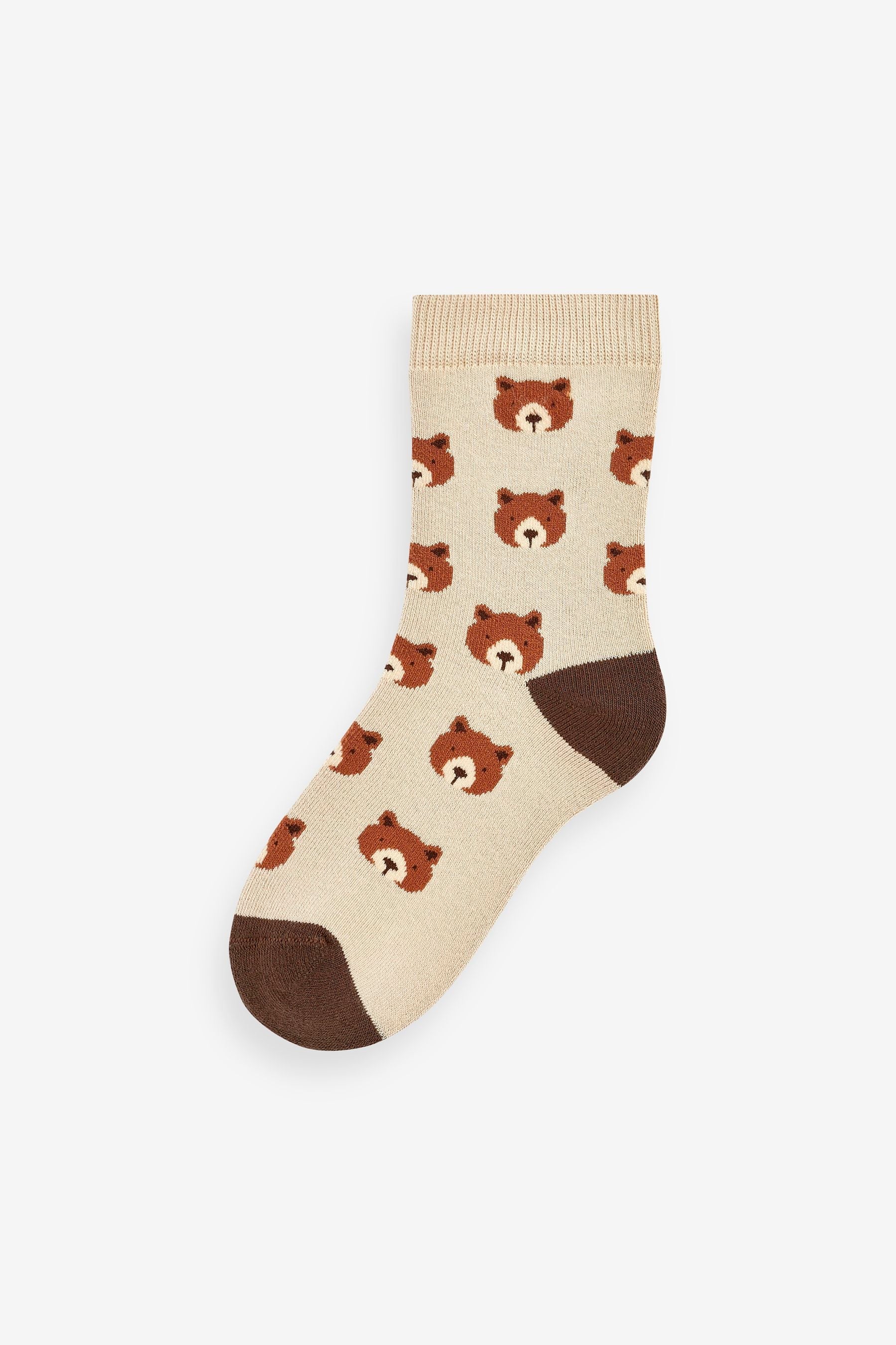 Bear Stripe Cosy Terry Cotton Rich Socks 5 Pack