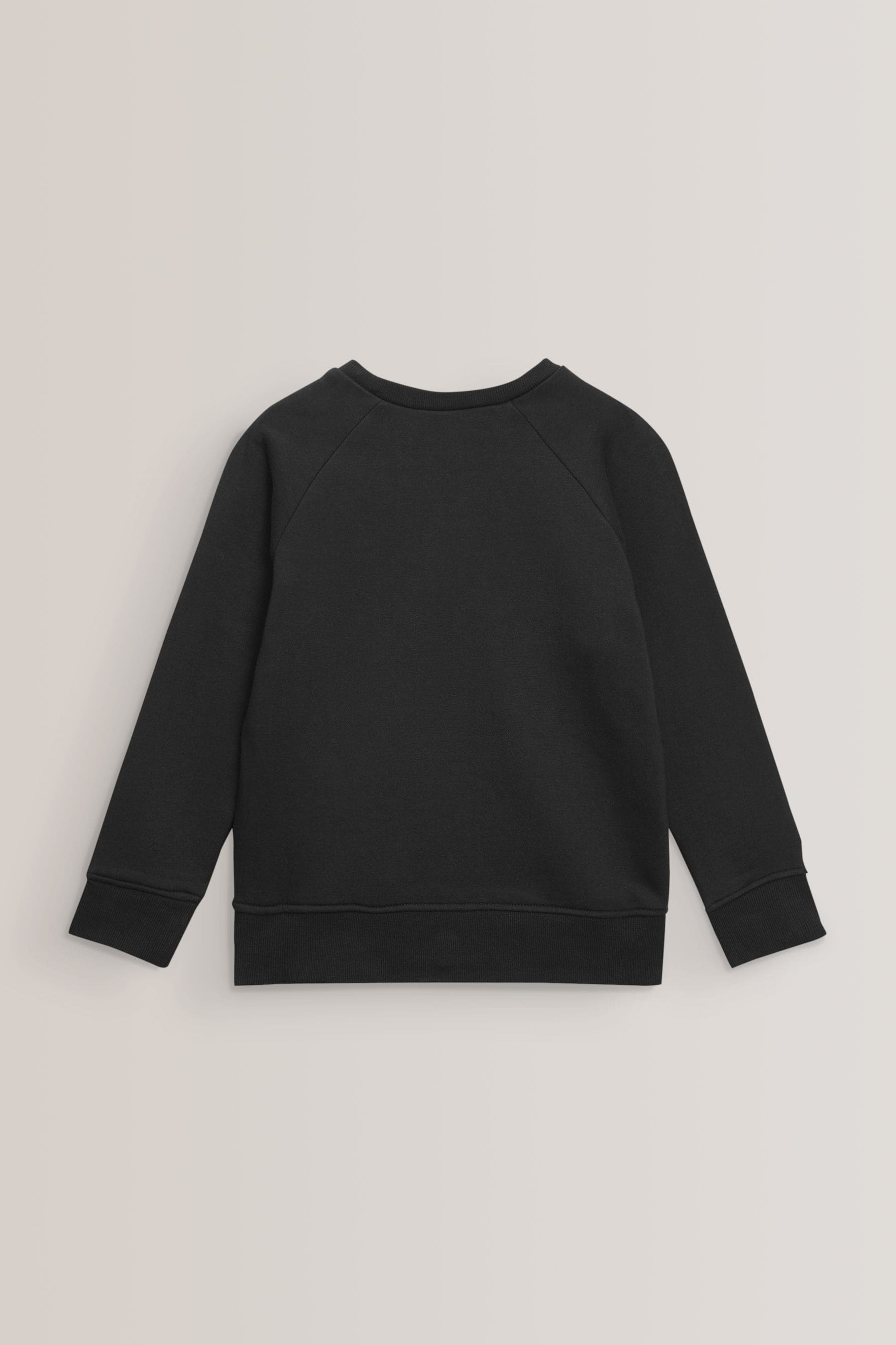 Black 1 Pack Crew Neck School Sweater (3-16yrs)