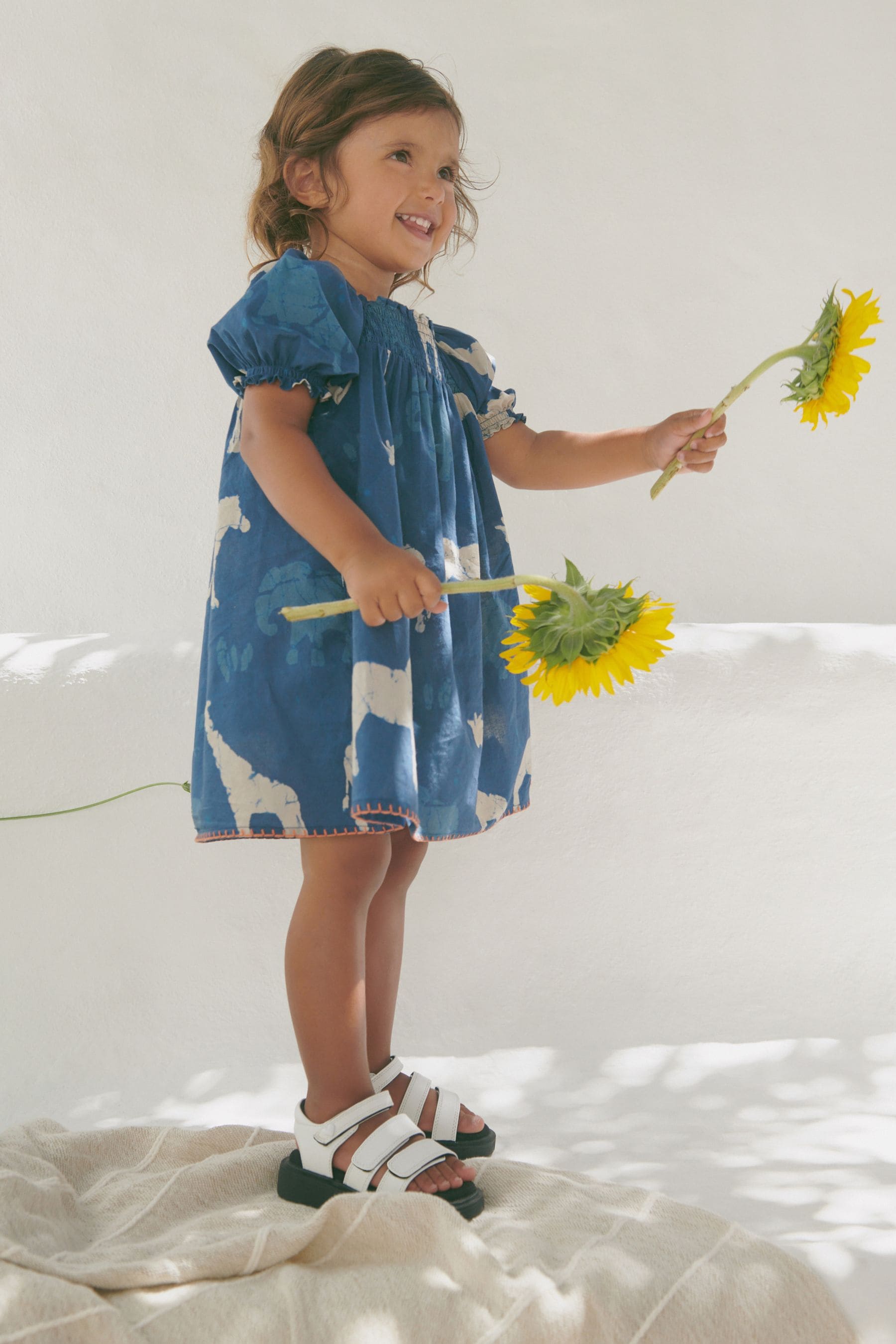 Blue Animals Puff Sleeve Dress (3mths-8yrs)