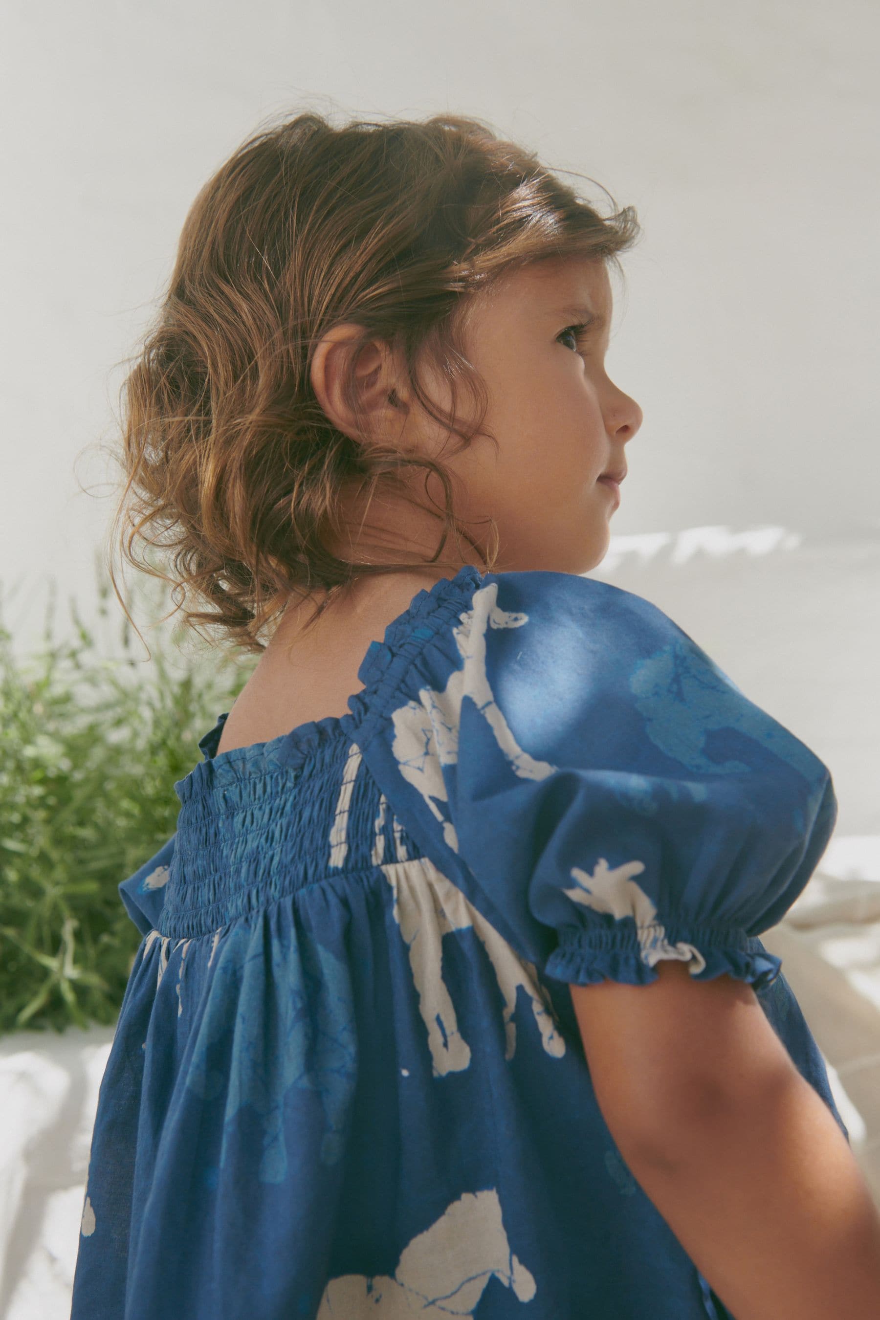 Blue Animals Puff Sleeve Dress (3mths-8yrs)