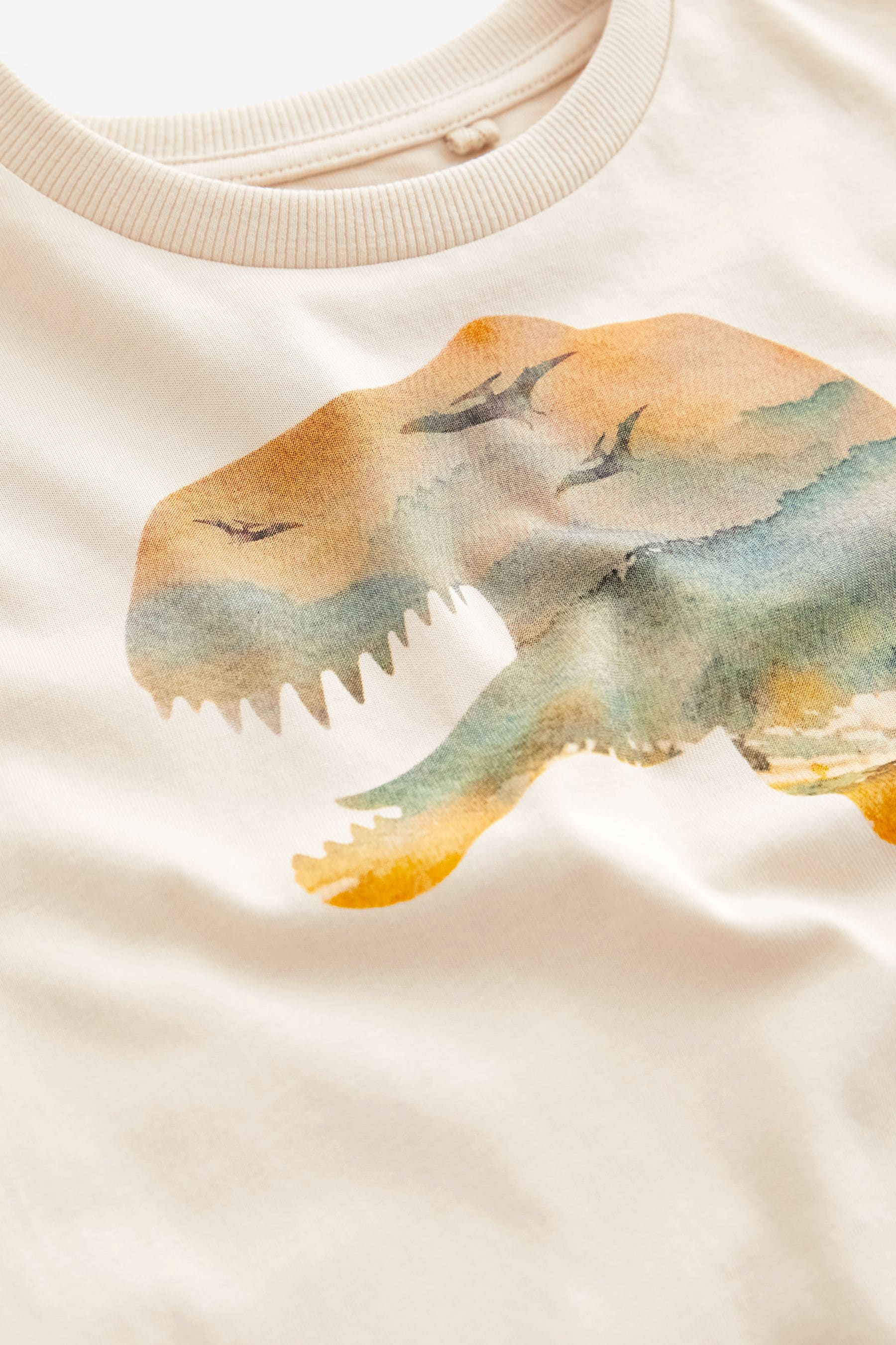 Neutral Dino Short Sleeve Graphic T-Shirt (3-16yrs)