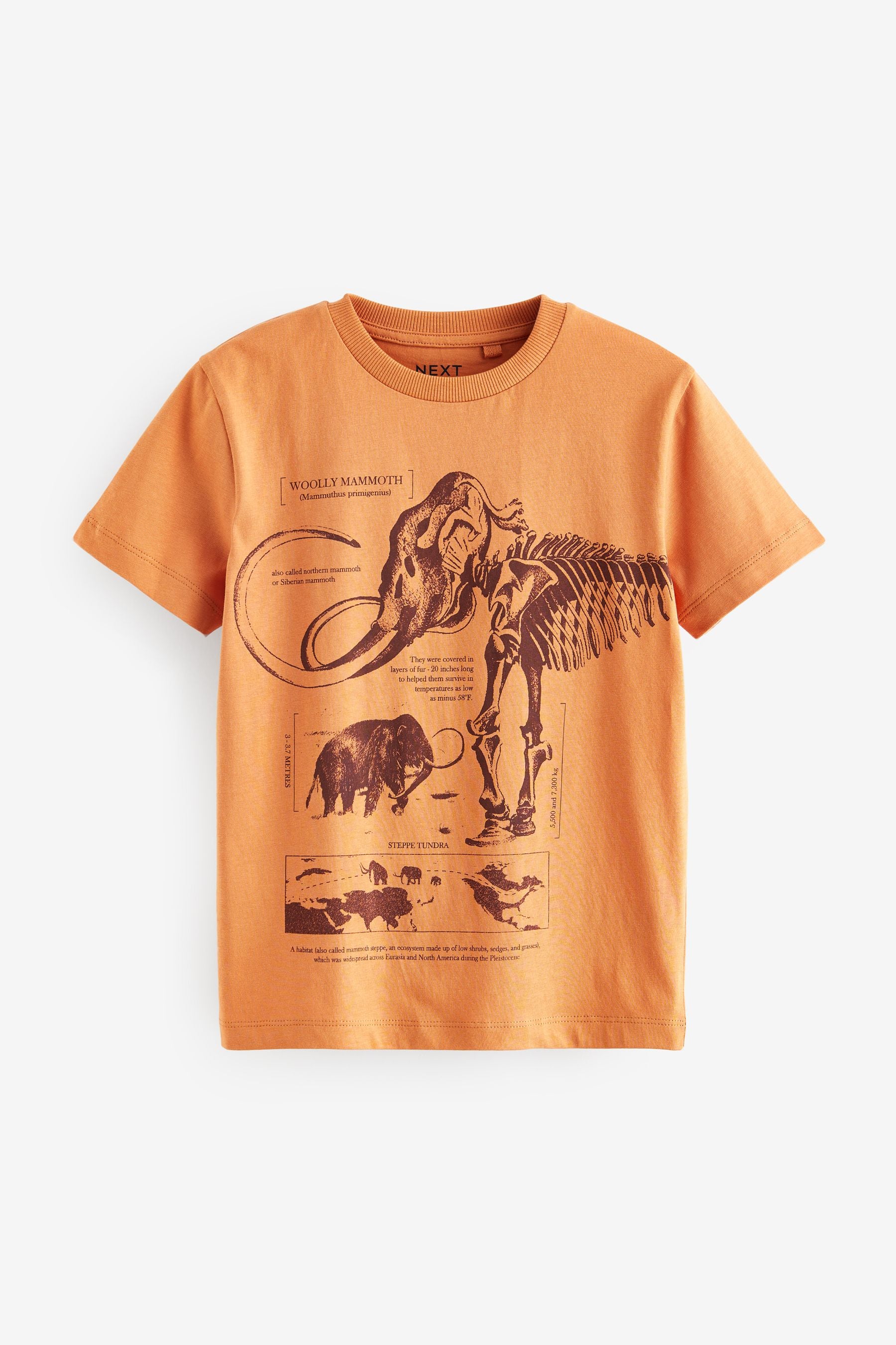 Orange/Teal Blue The Ice age Graphic Regular Fit Short Sleeve T-Shirts 3 Pack (3-16yrs)