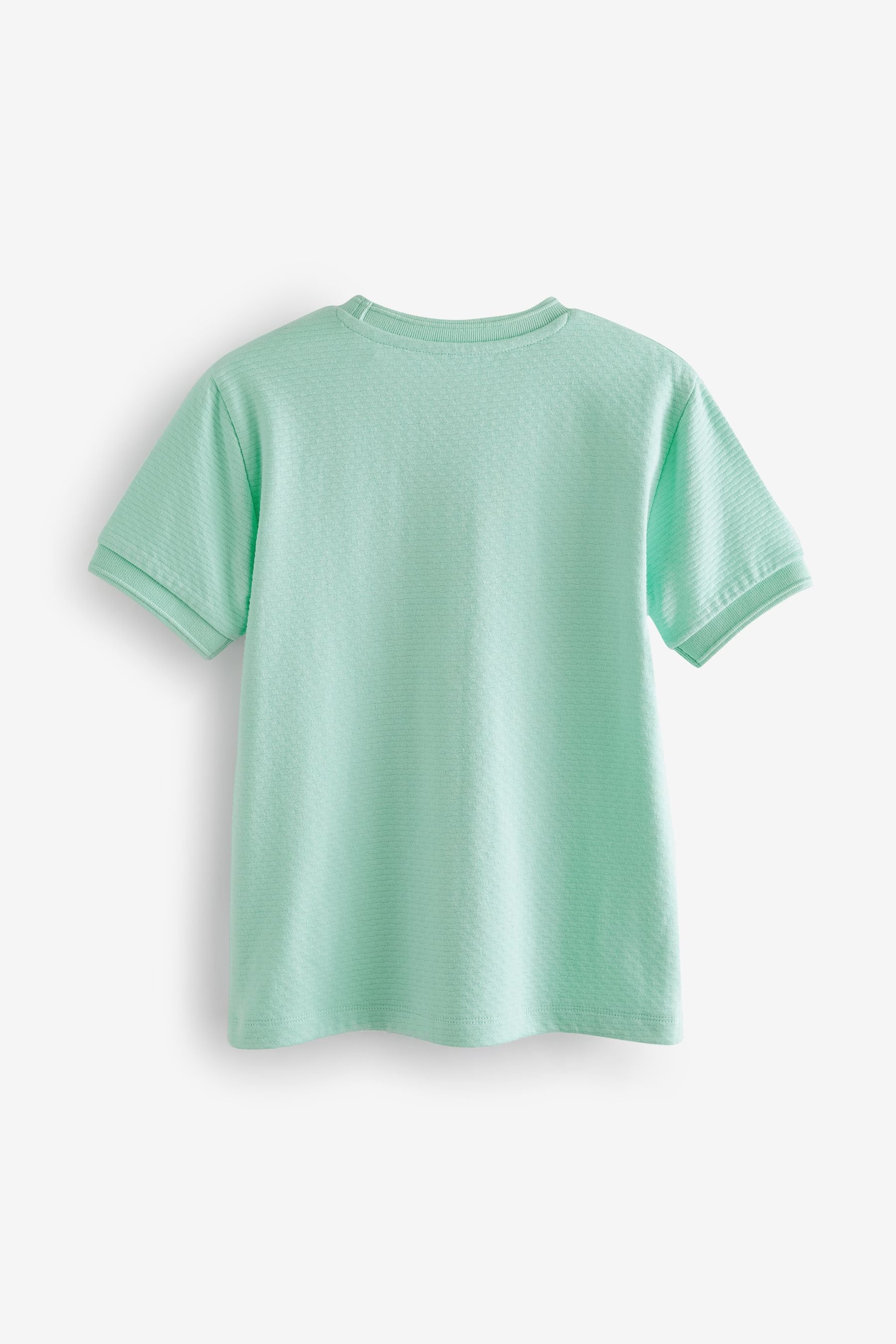 Mint Green Short Sleeve Textured T-Shirt (3-16yrs)