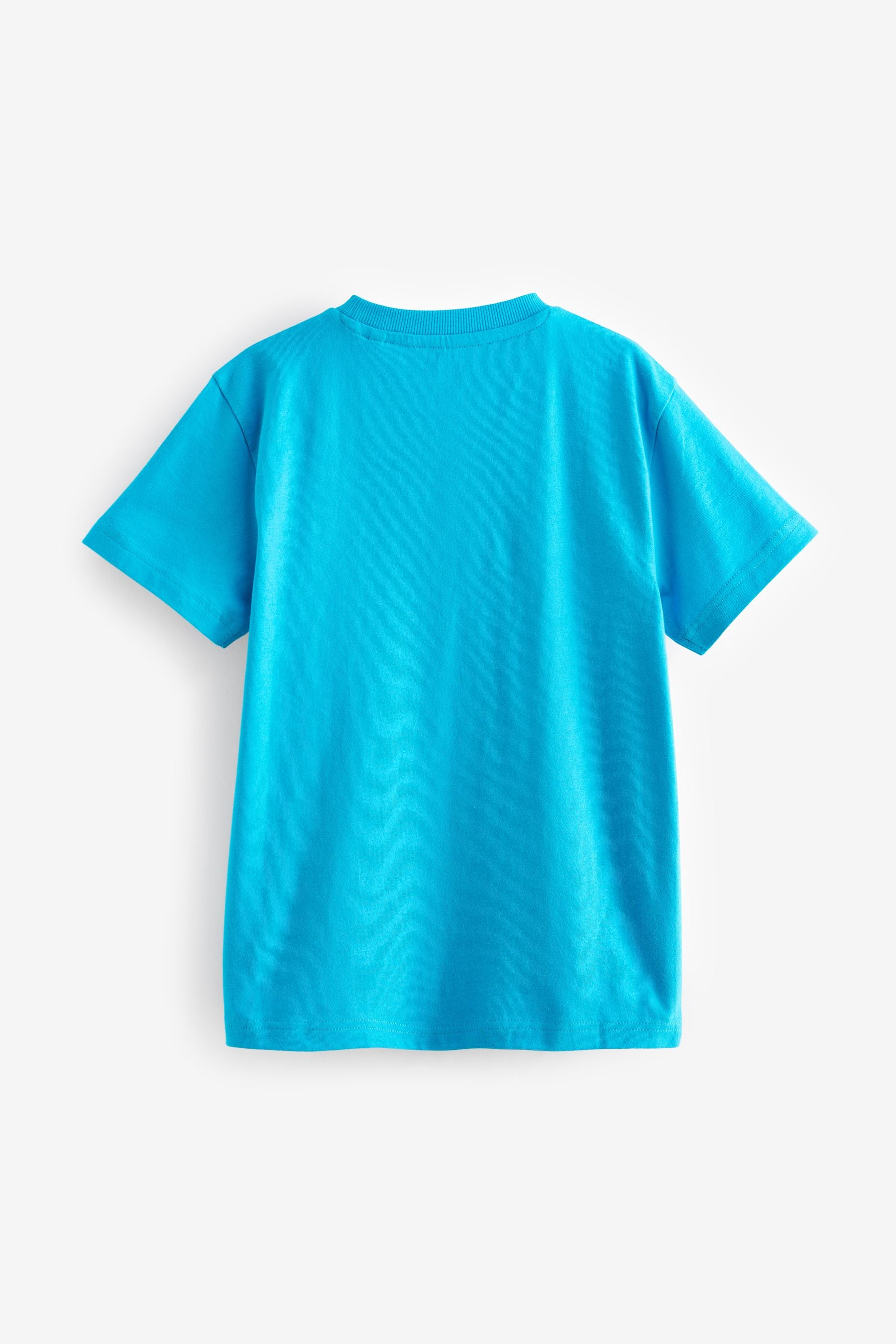 Blue Dinos 100% Cotton Short Sleeve Graphic T-Shirt (3-14yrs)