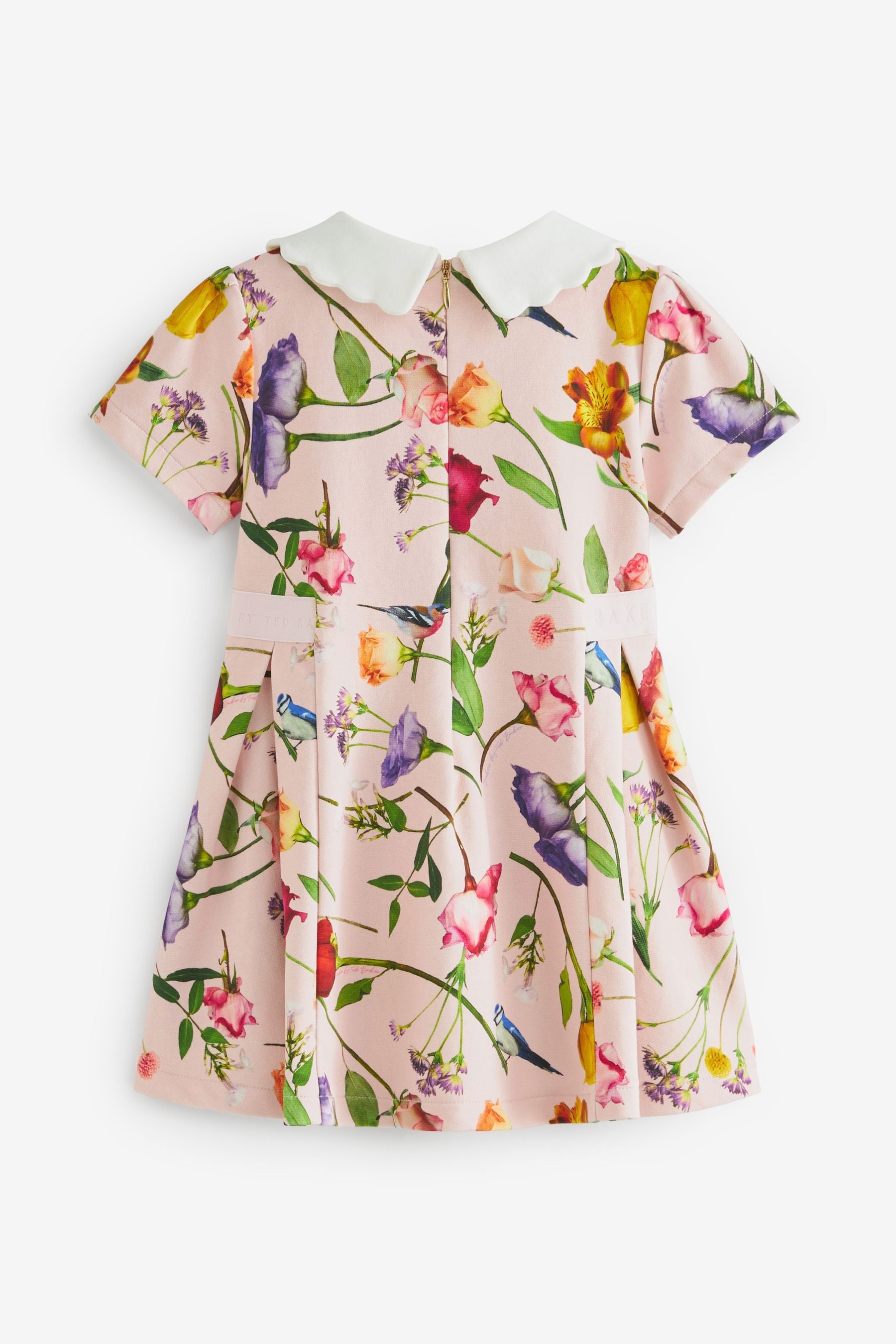 Baker by Ted Baker Pink Floral Collared Ponte Dress