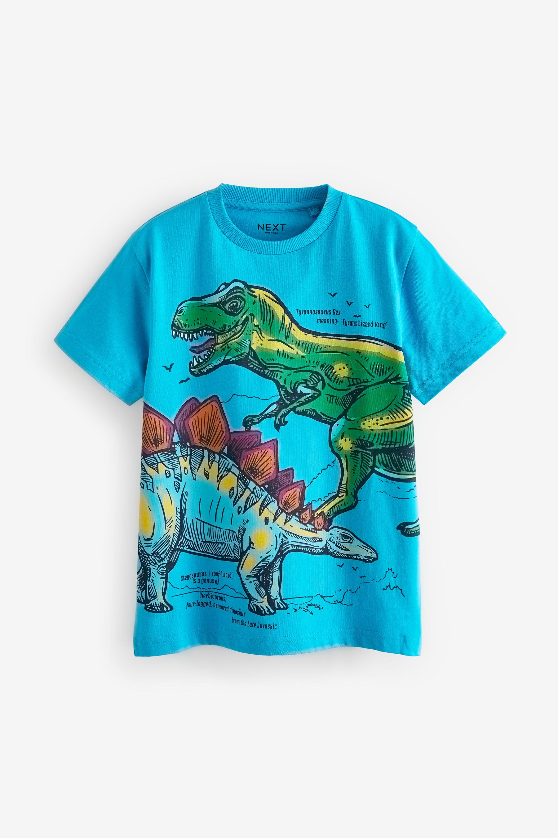 Multi Dino Regular Fit Graphic Short Sleeve 100% Cotton T-Shirts 3 Pack (3-14yrs)