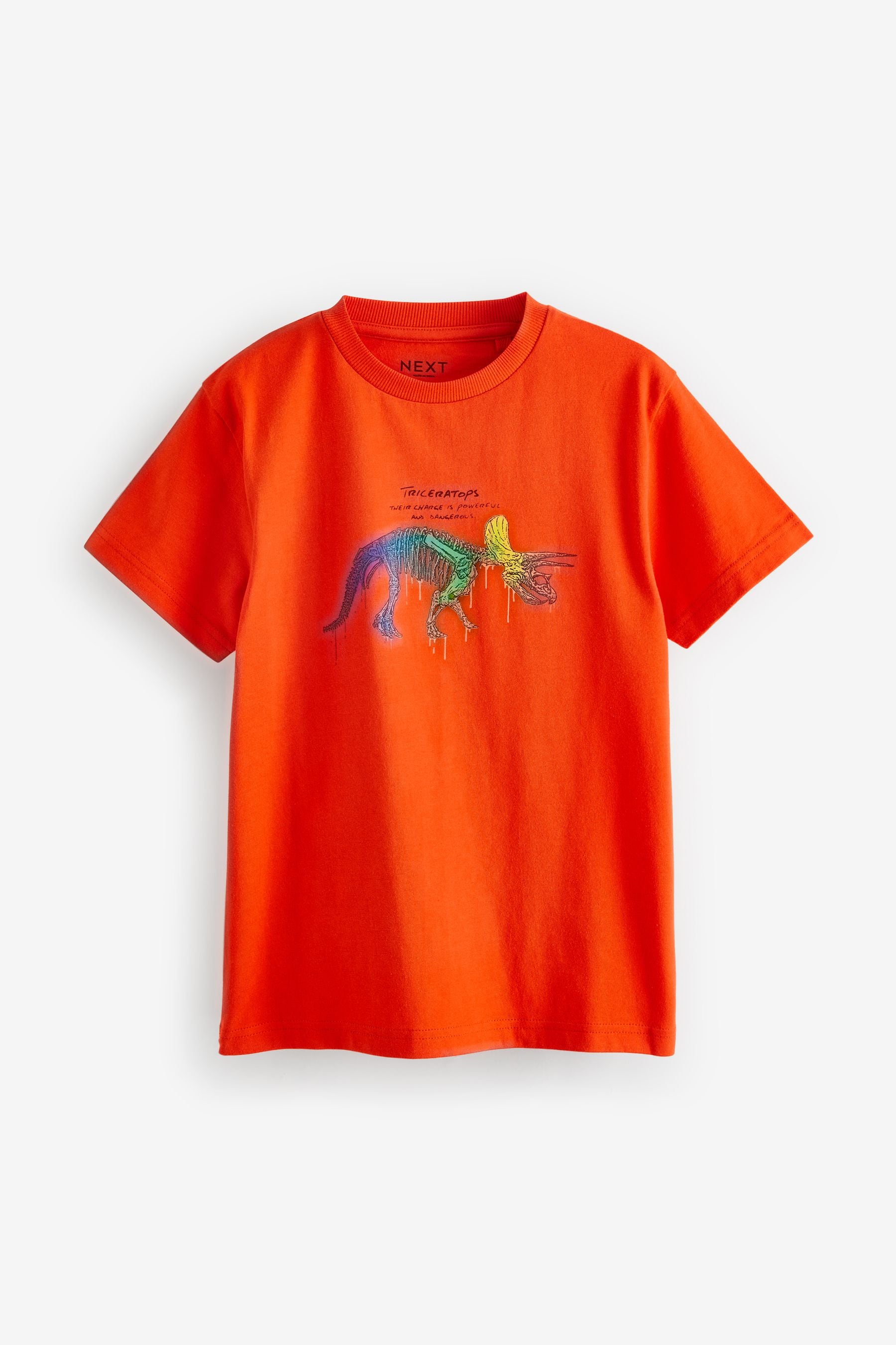 Multi Dino Regular Fit Graphic Short Sleeve 100% Cotton T-Shirts 3 Pack (3-14yrs)