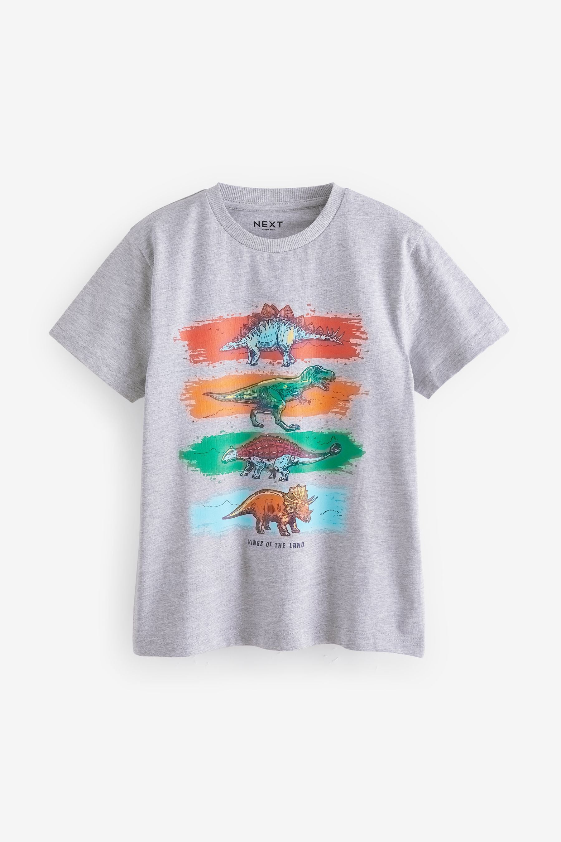 Multi Dino Regular Fit Graphic Short Sleeve 100% Cotton T-Shirts 3 Pack (3-14yrs)