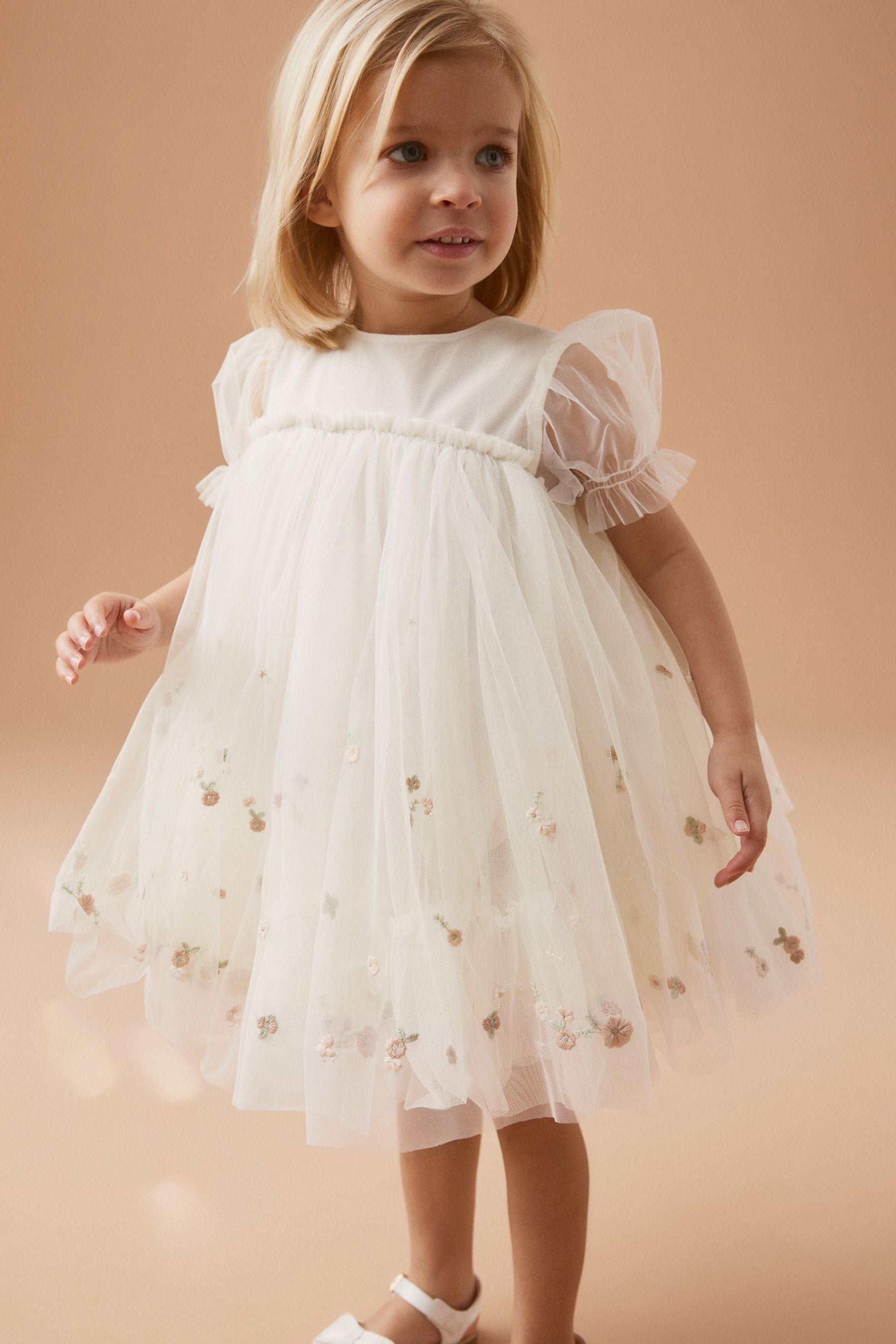 Cream Embroidered Mesh Party Dress (3mths-7yrs)