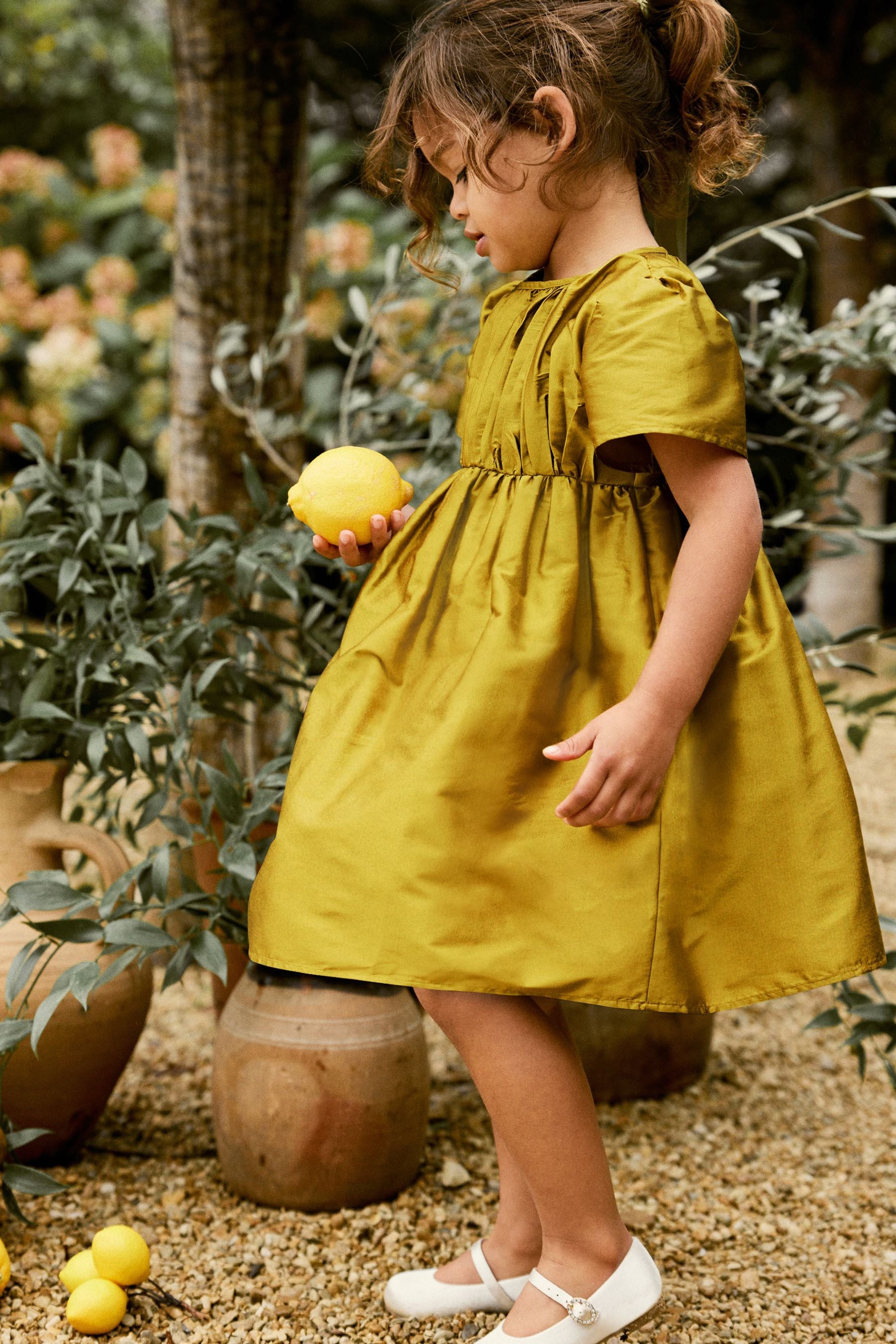 Olive Green Pleat Detail Short Sleeve Taffeta Dress (3mths-10yrs)