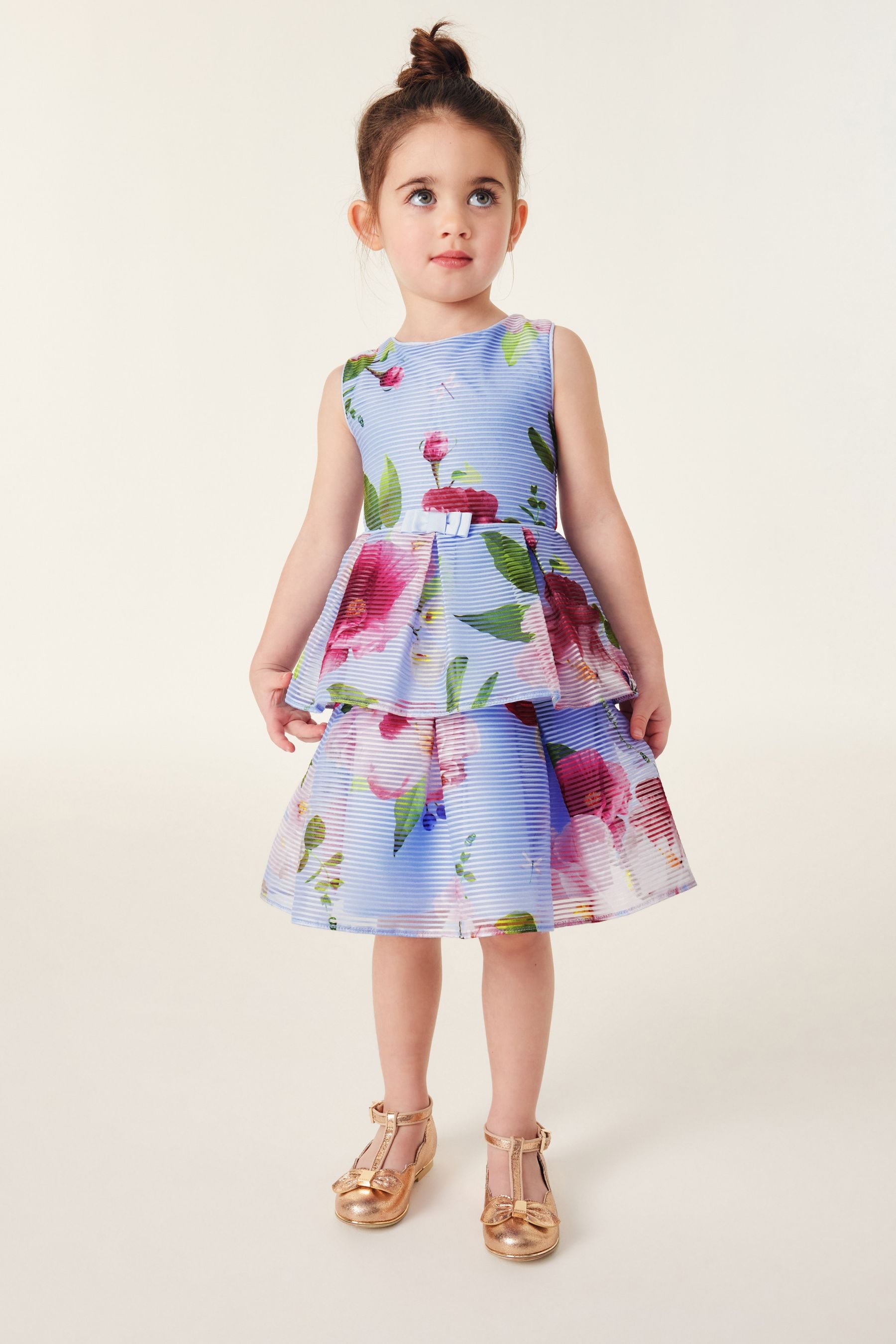 Baker by Ted Baker Floral Striped Dress