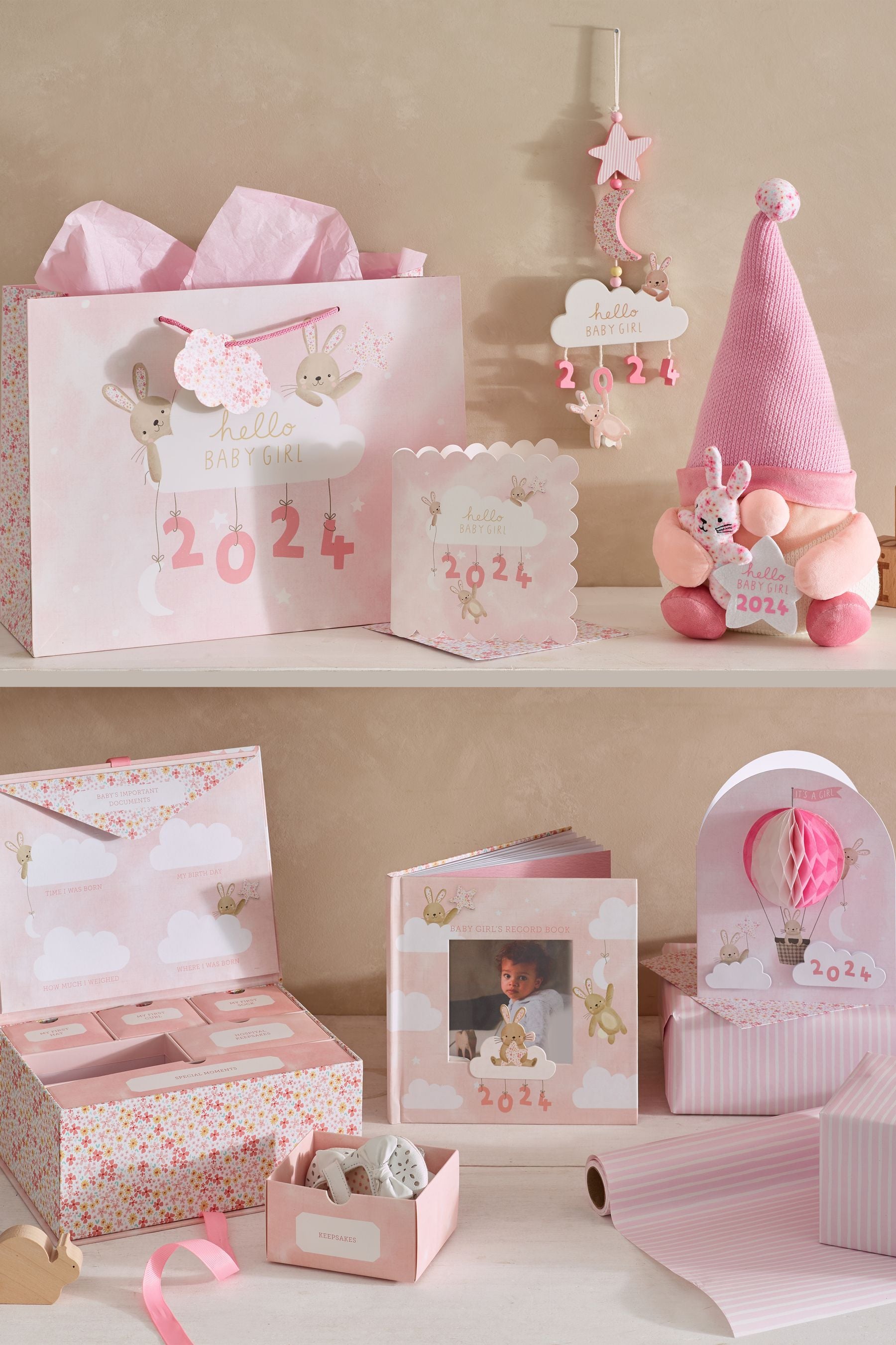 Pink Girl Born in 2024 Gift Bag and Card Set