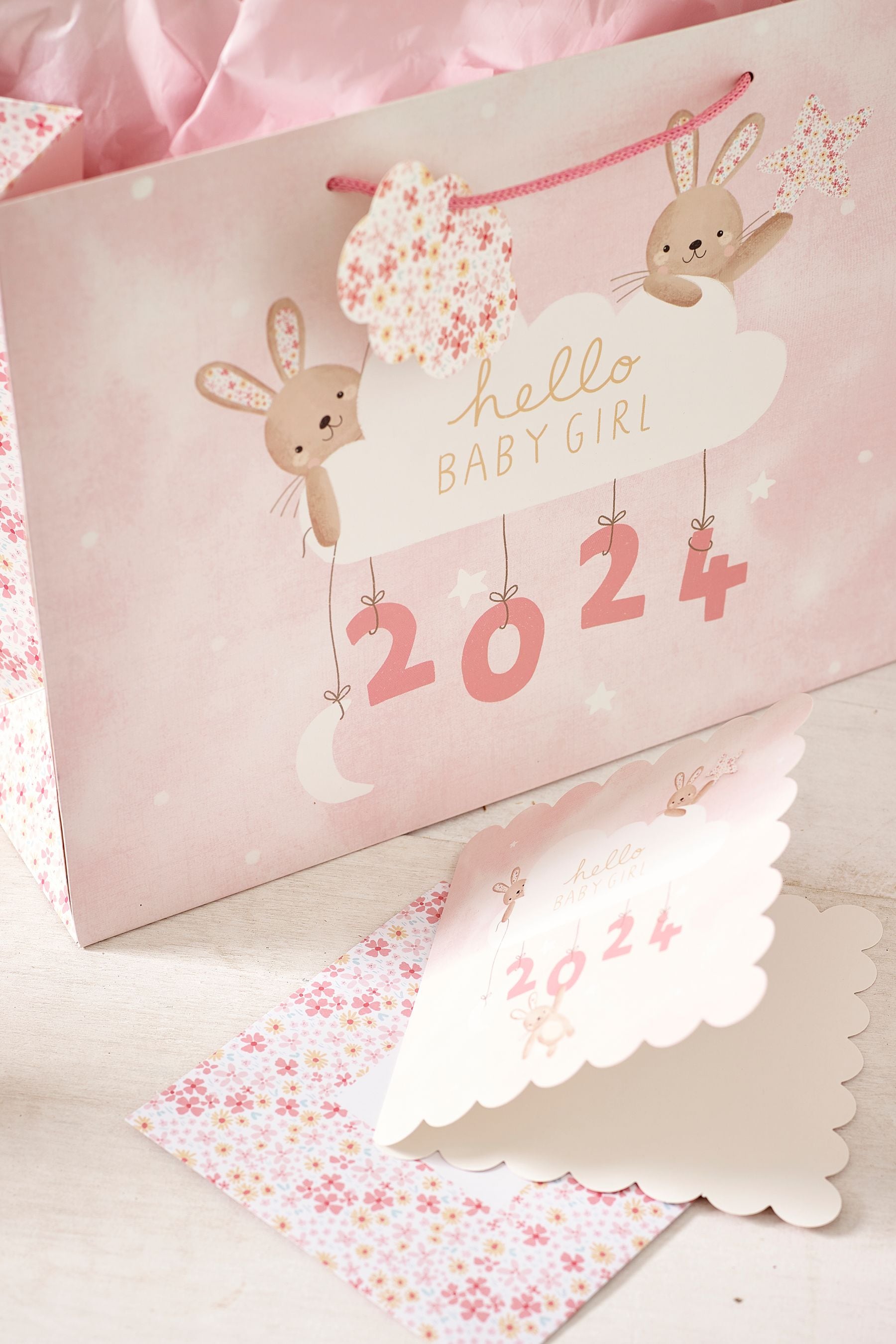 Pink Girl Born in 2024 Gift Bag and Card Set