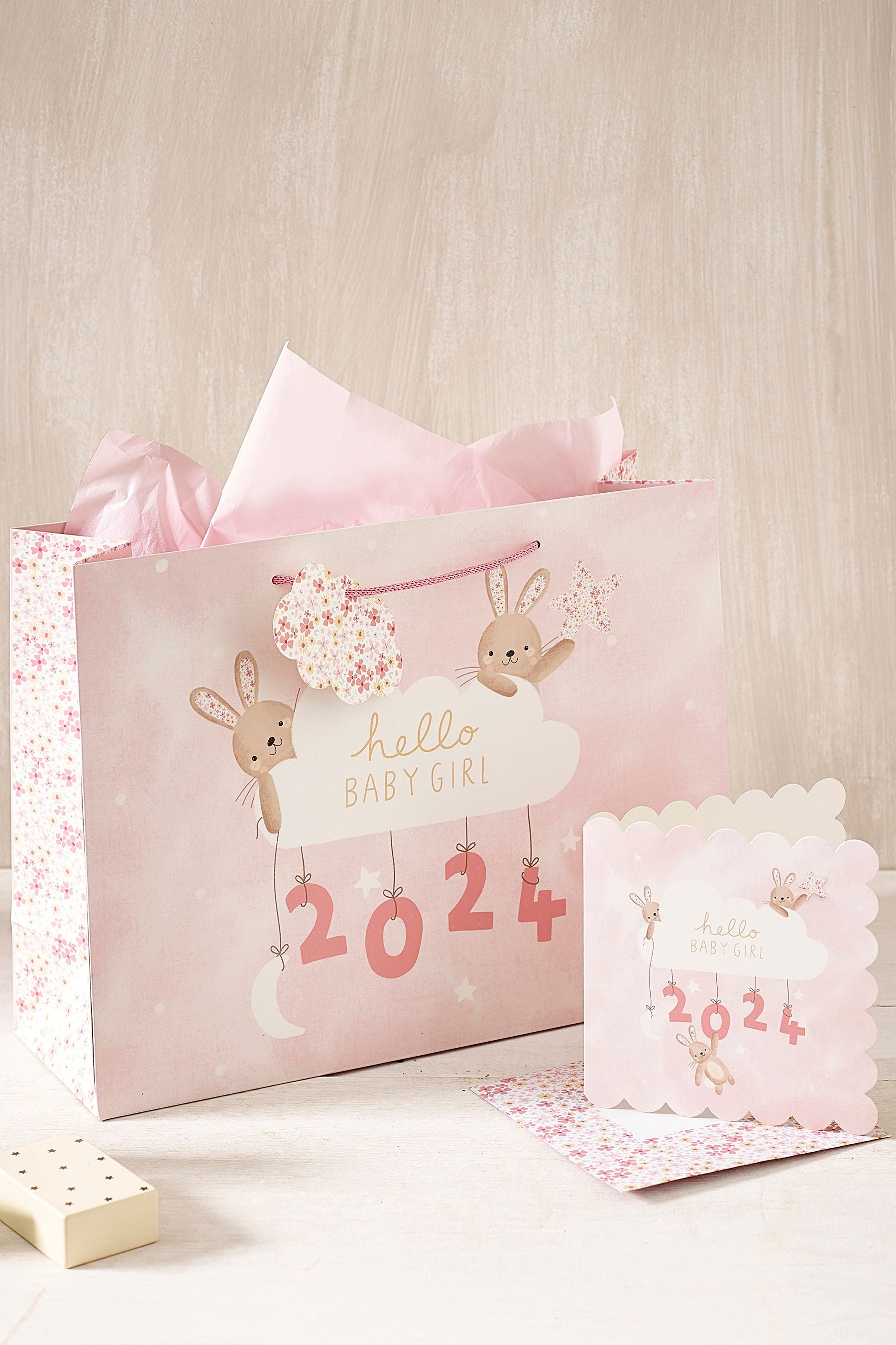 Pink Girl Born in 2024 Gift Bag and Card Set