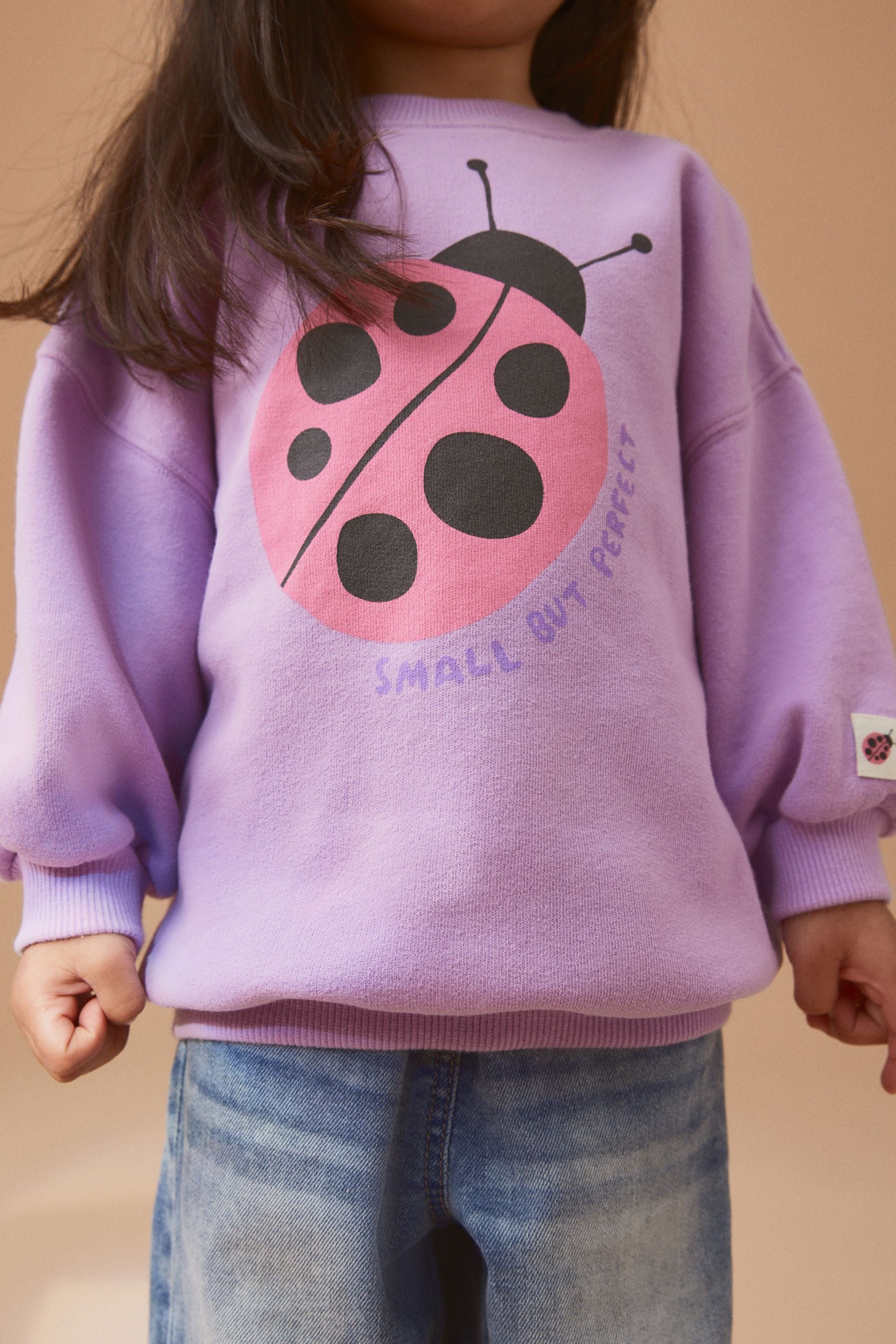 Purple Sweatshirt (3mths-7yrs)