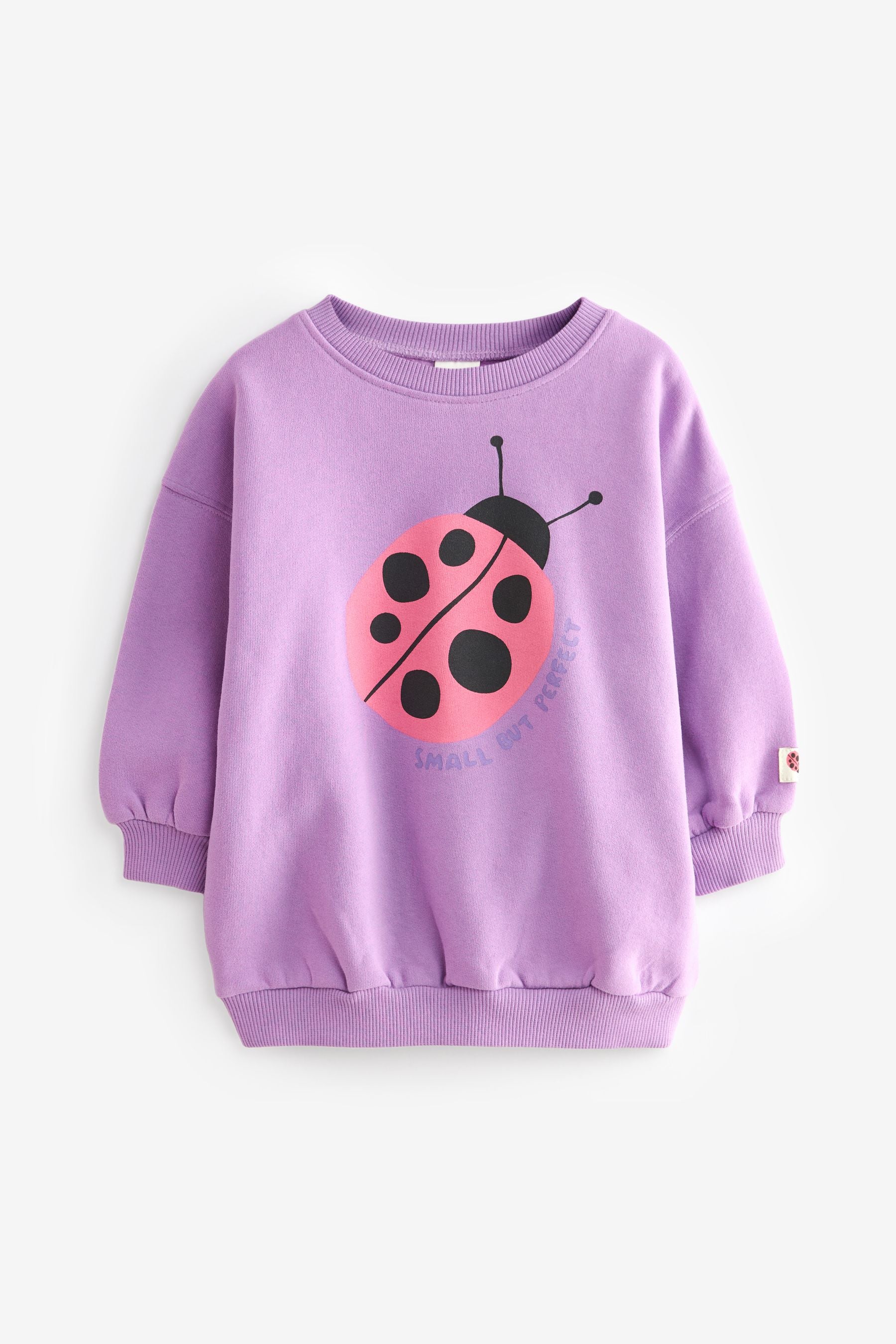 Purple Sweatshirt (3mths-7yrs)