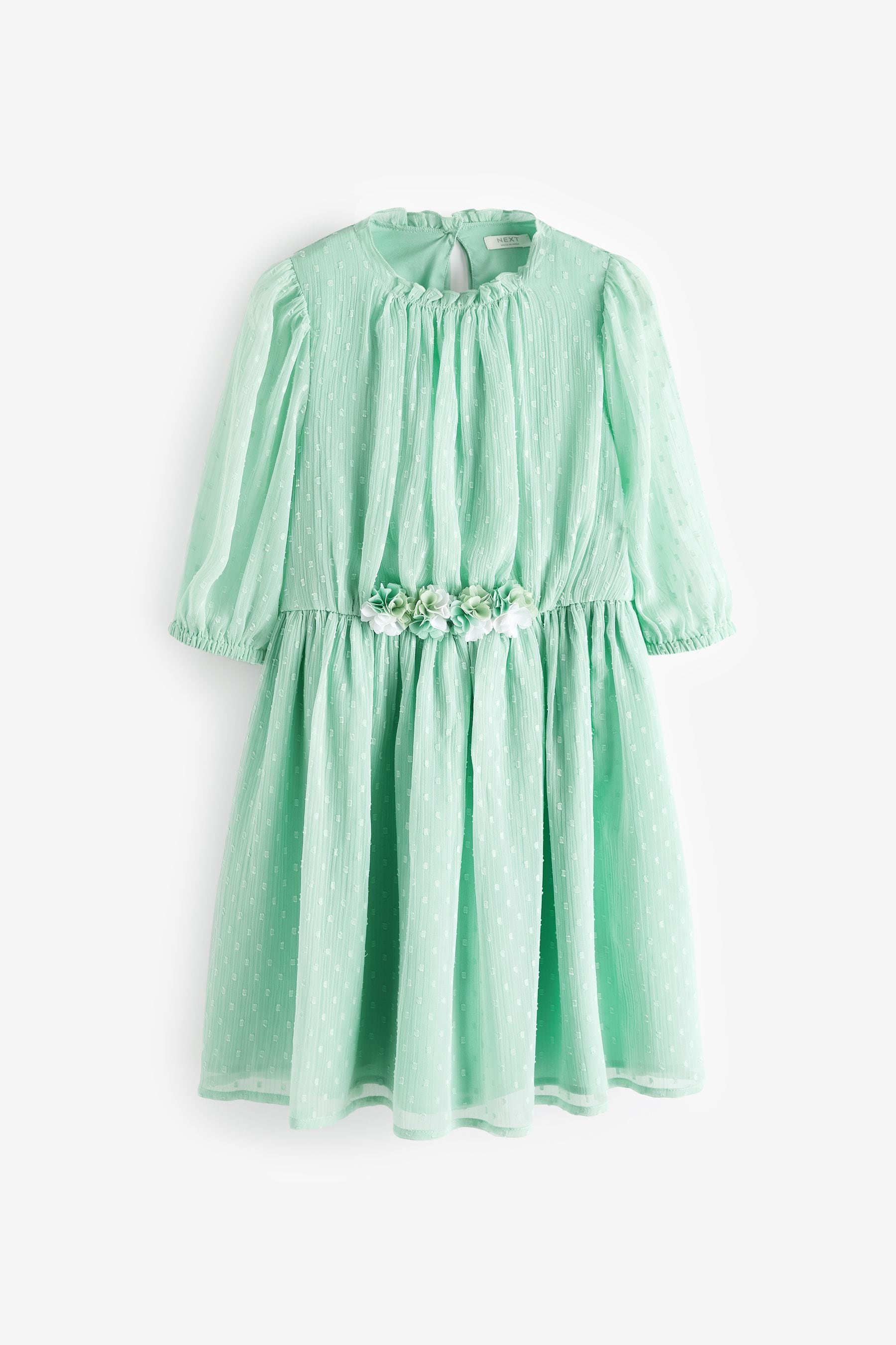 Mint Green Chiffon Corsage Dress (3-16yrs)