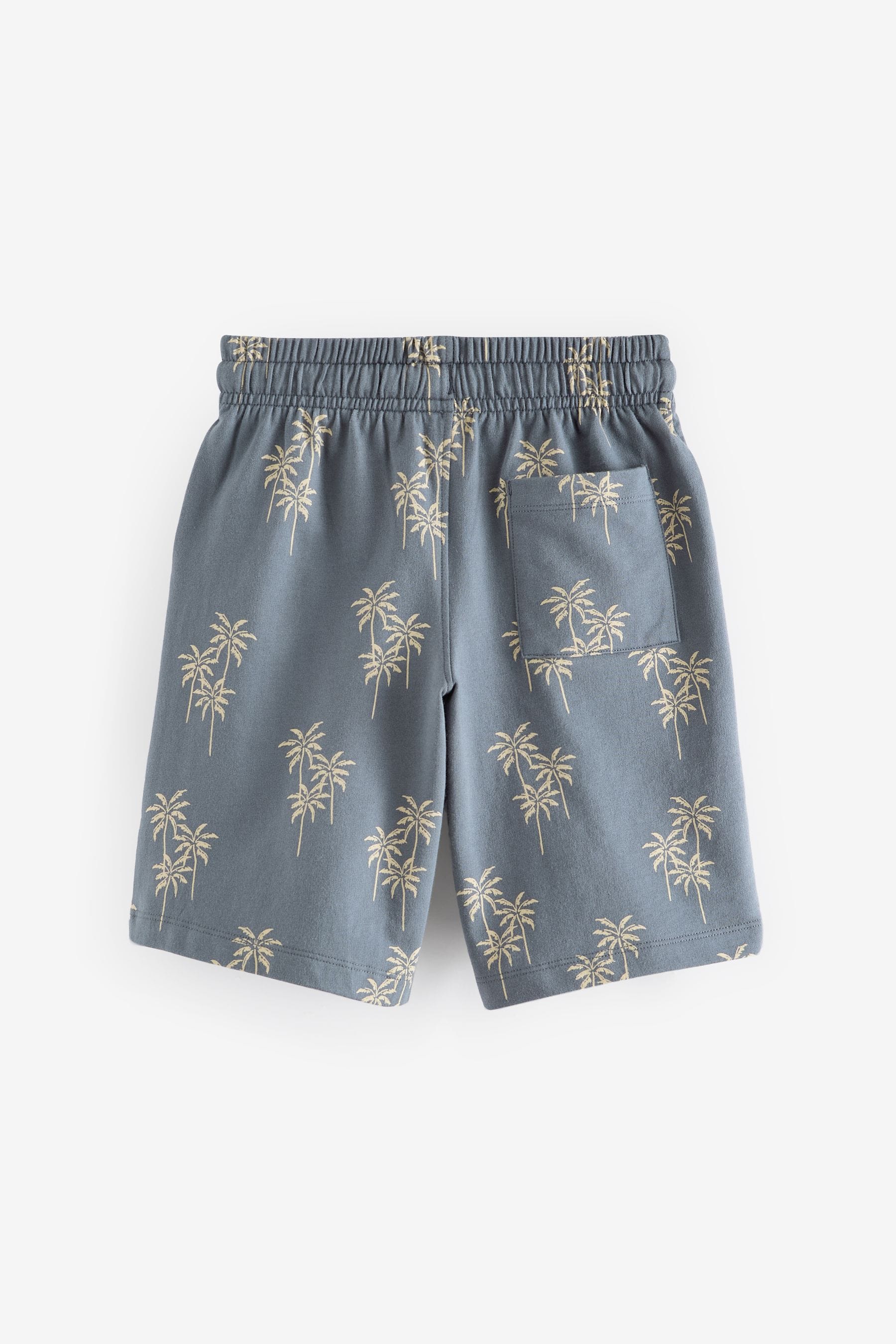 Blue Bandana Print Jersey Shorts (3-16yrs)