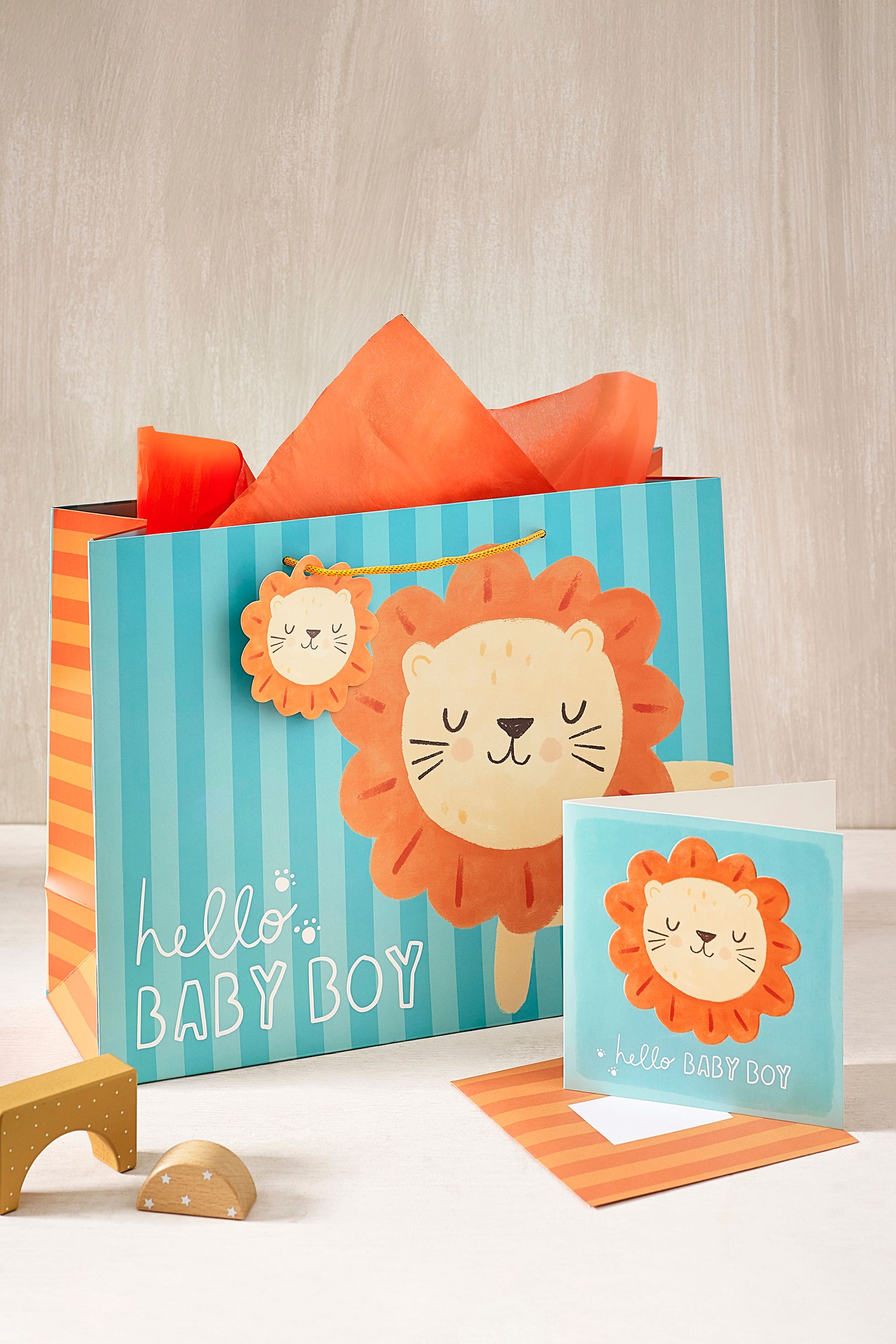 Blue Lions Gift Bag and Card Set