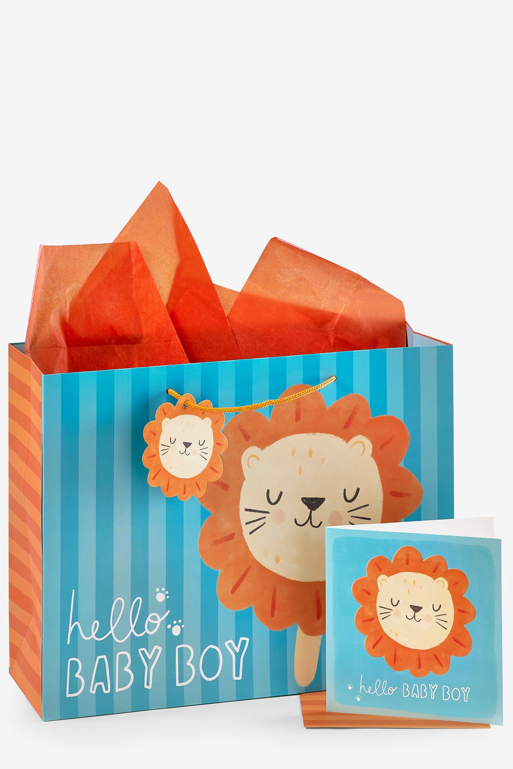 Blue Lions Gift Bag and Card Set