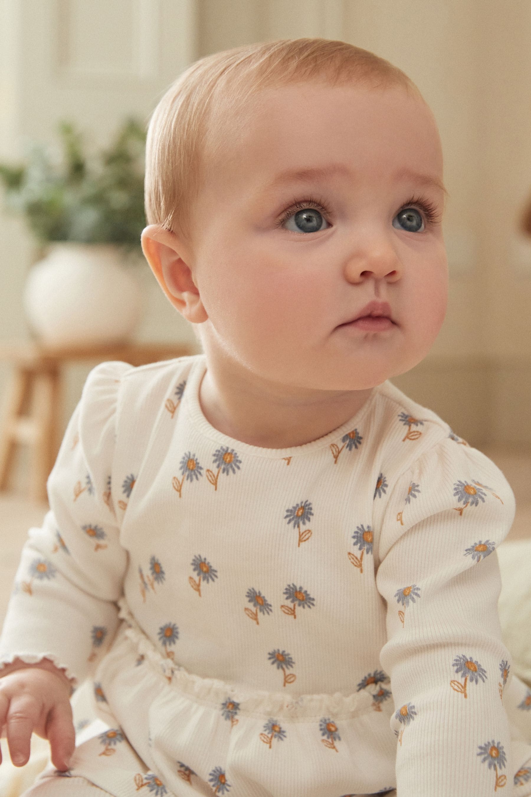 Blue/White Daisy Peplum Baby Top And Leggings Set