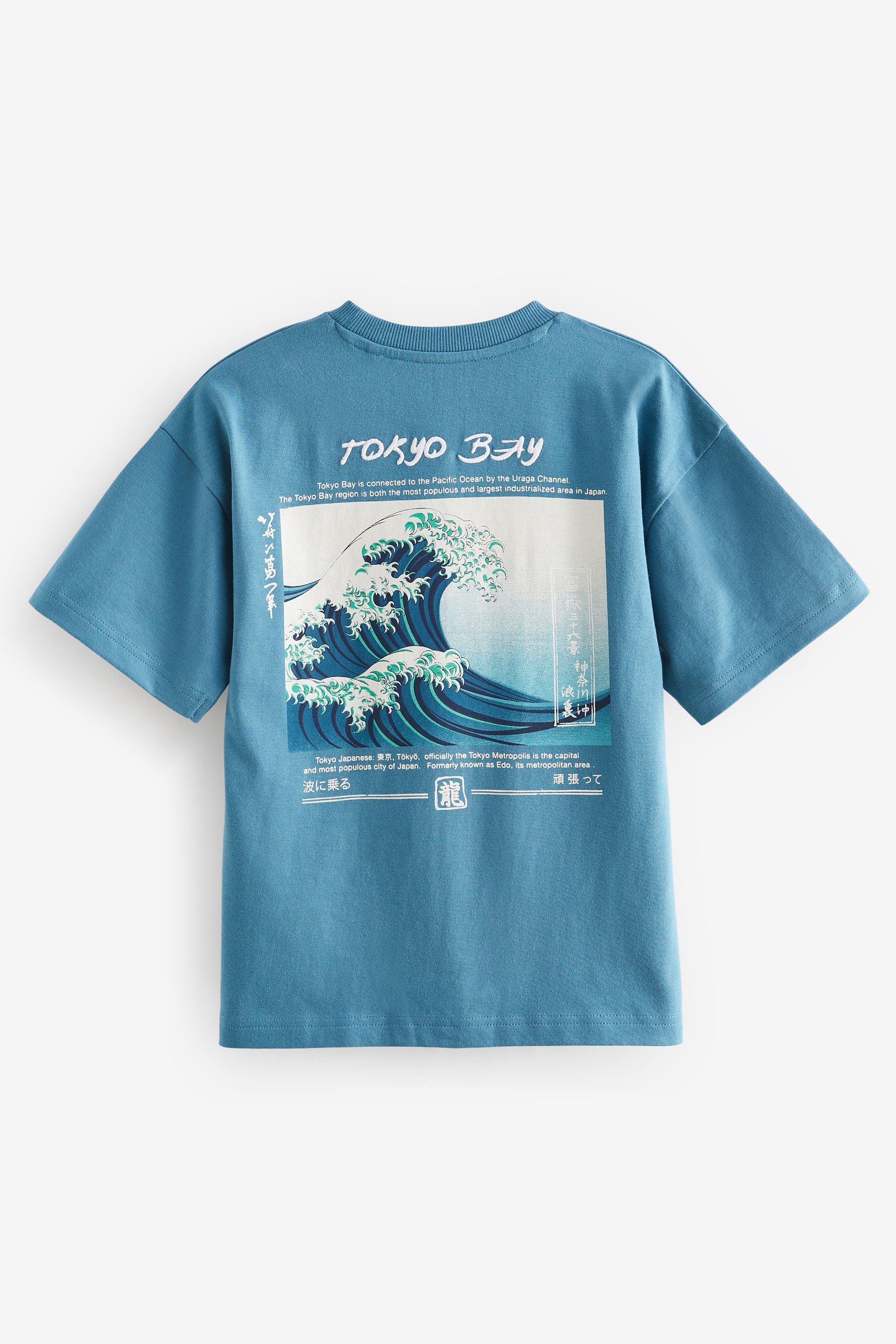 Teal Blue Wave Backprint Relaxed Fit Short Sleeve Graphic T-Shirt (3-16yrs)