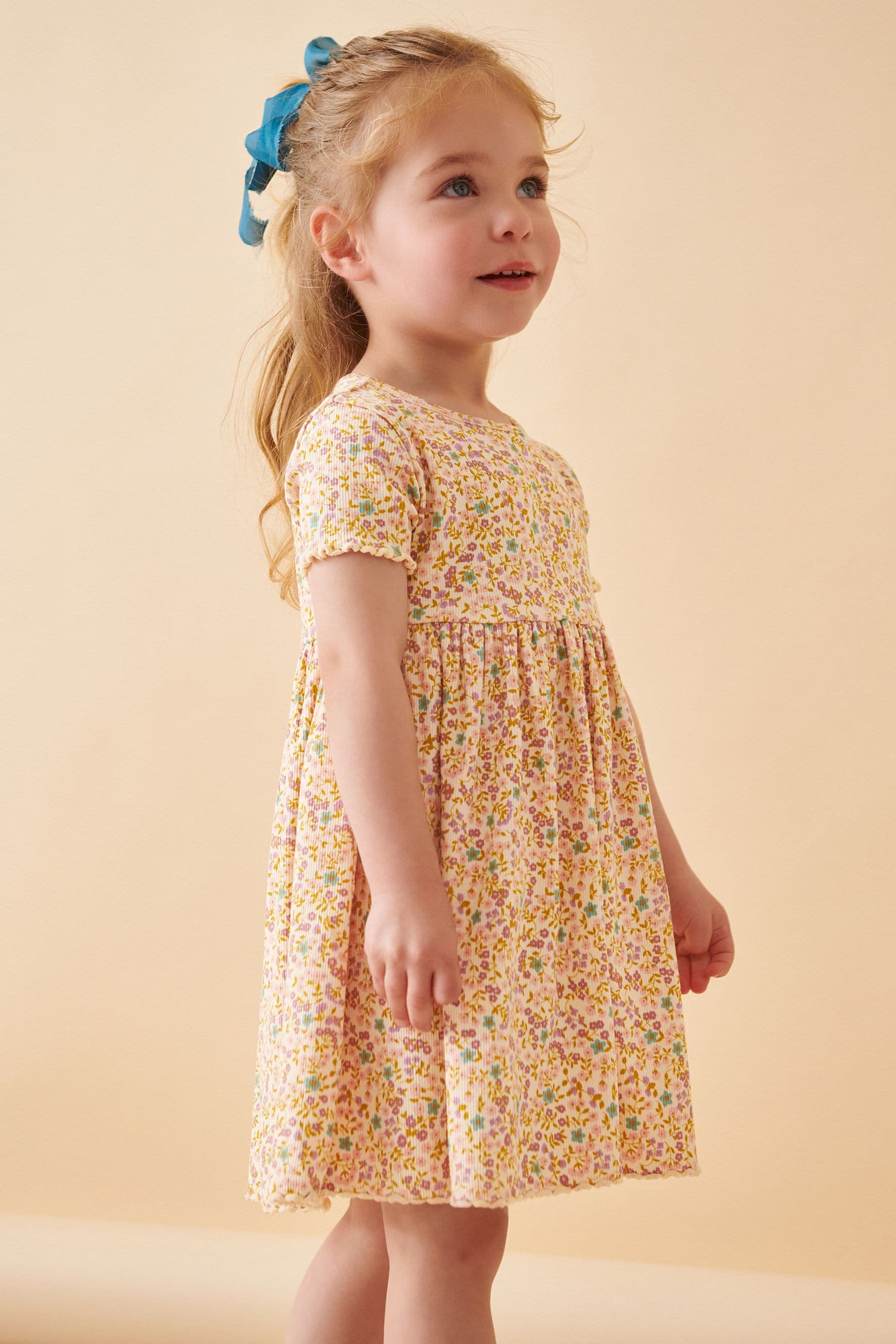 Multi Short Sleeve Rib Jersey Dress (3mths-7yrs)