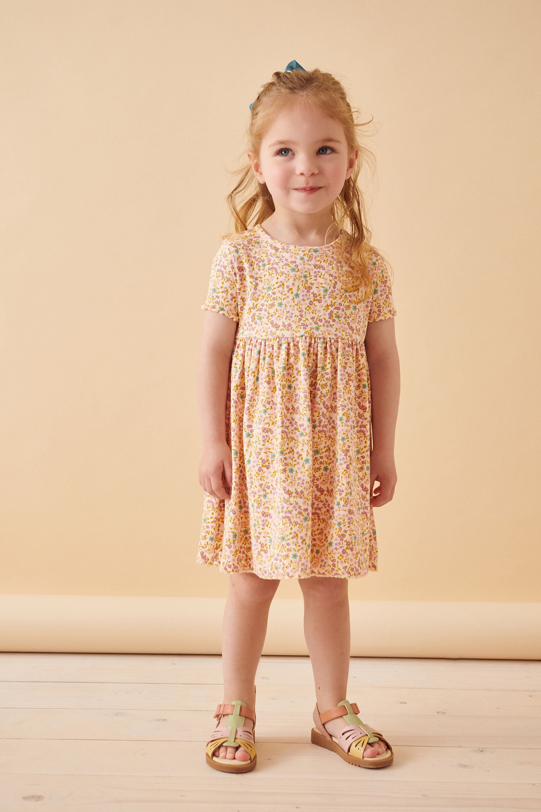 Multi Short Sleeve Rib Jersey Dress (3mths-7yrs)