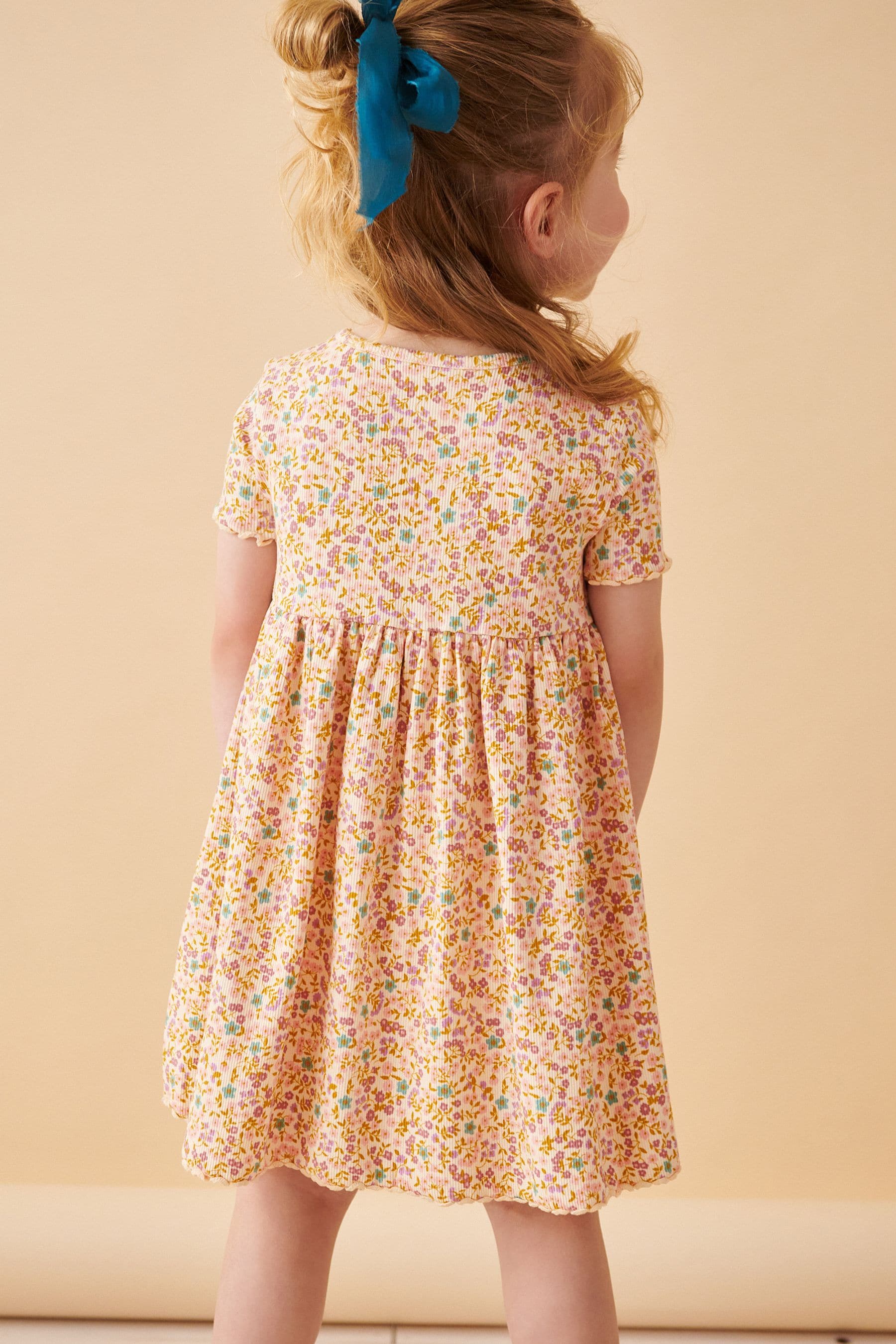 Multi Short Sleeve Rib Jersey Dress (3mths-7yrs)