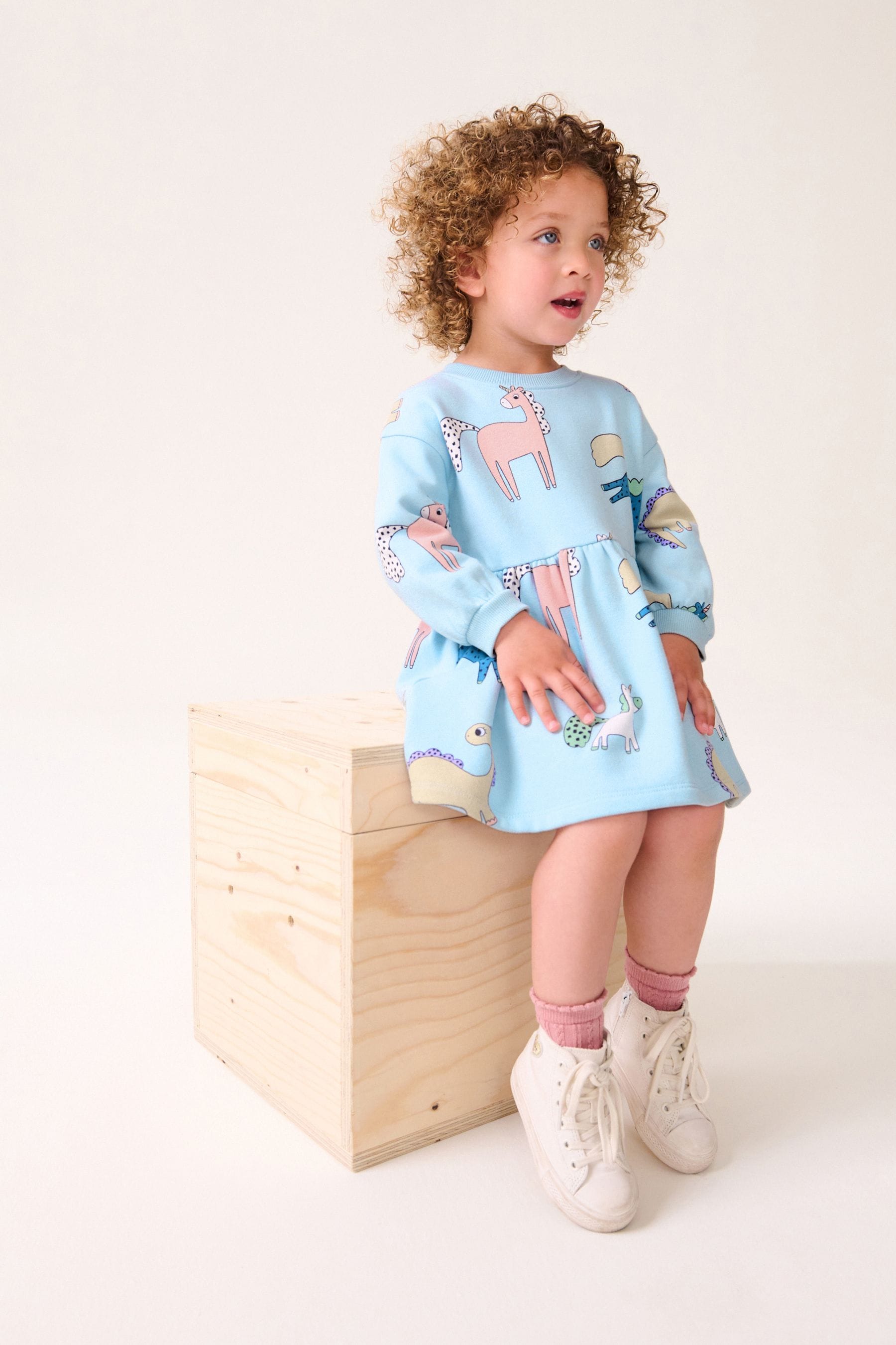 Blue Character Long Sleeve Jumper Dress (3mths-7yrs)