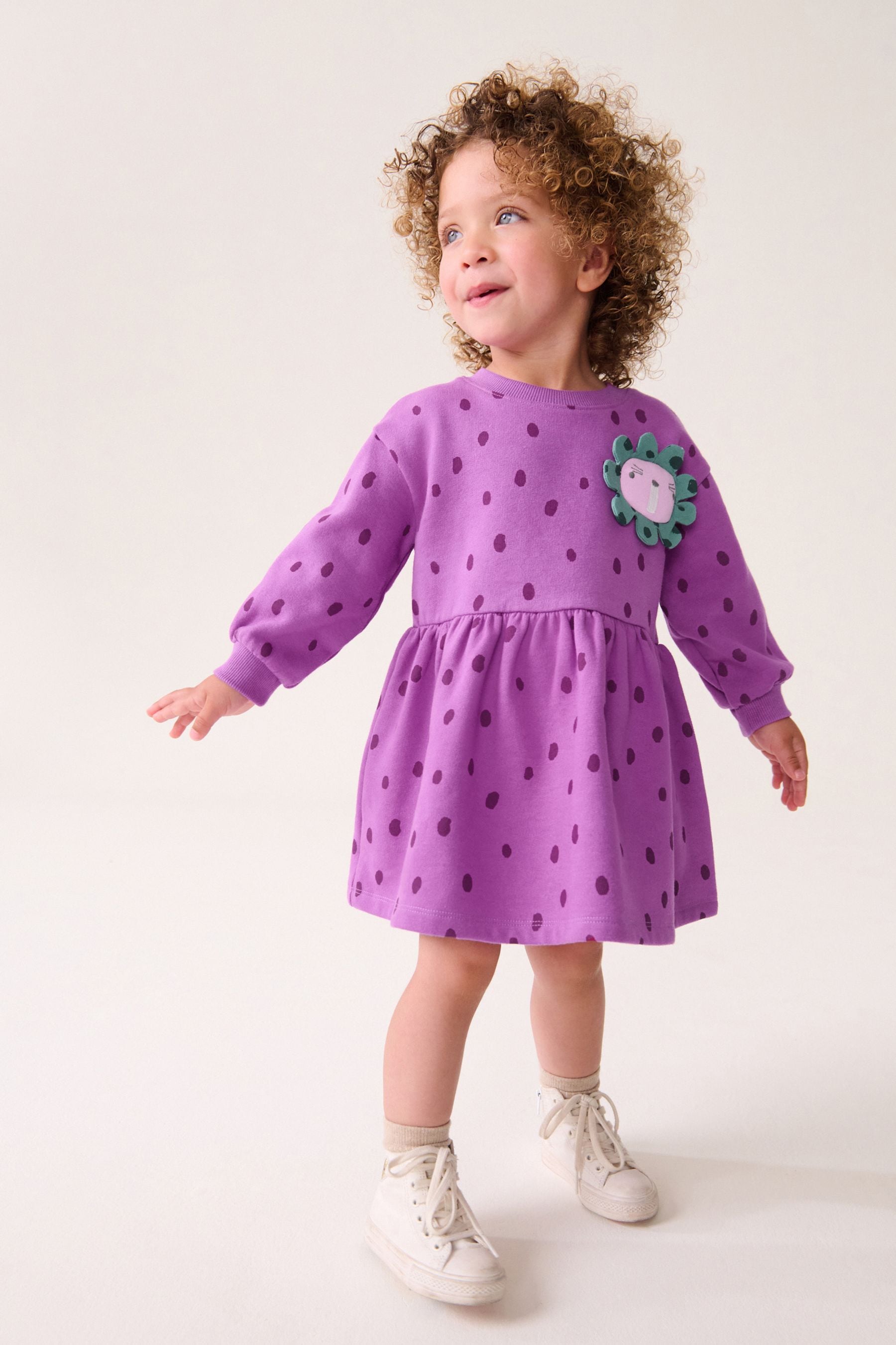 Purple Character Long Sleeve Jumper Dress (3mths-7yrs)