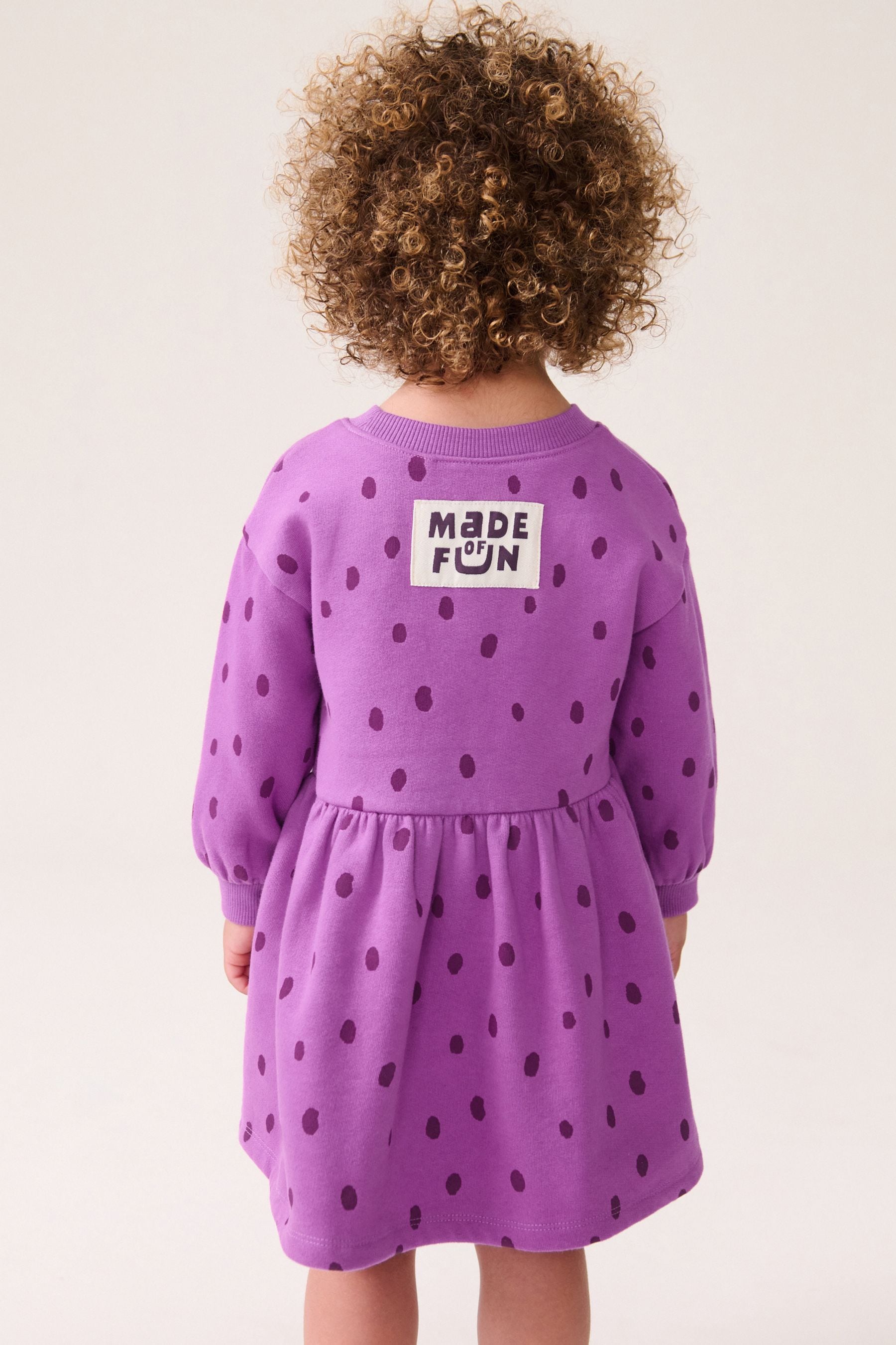 Purple Character Long Sleeve Jumper Dress (3mths-7yrs)