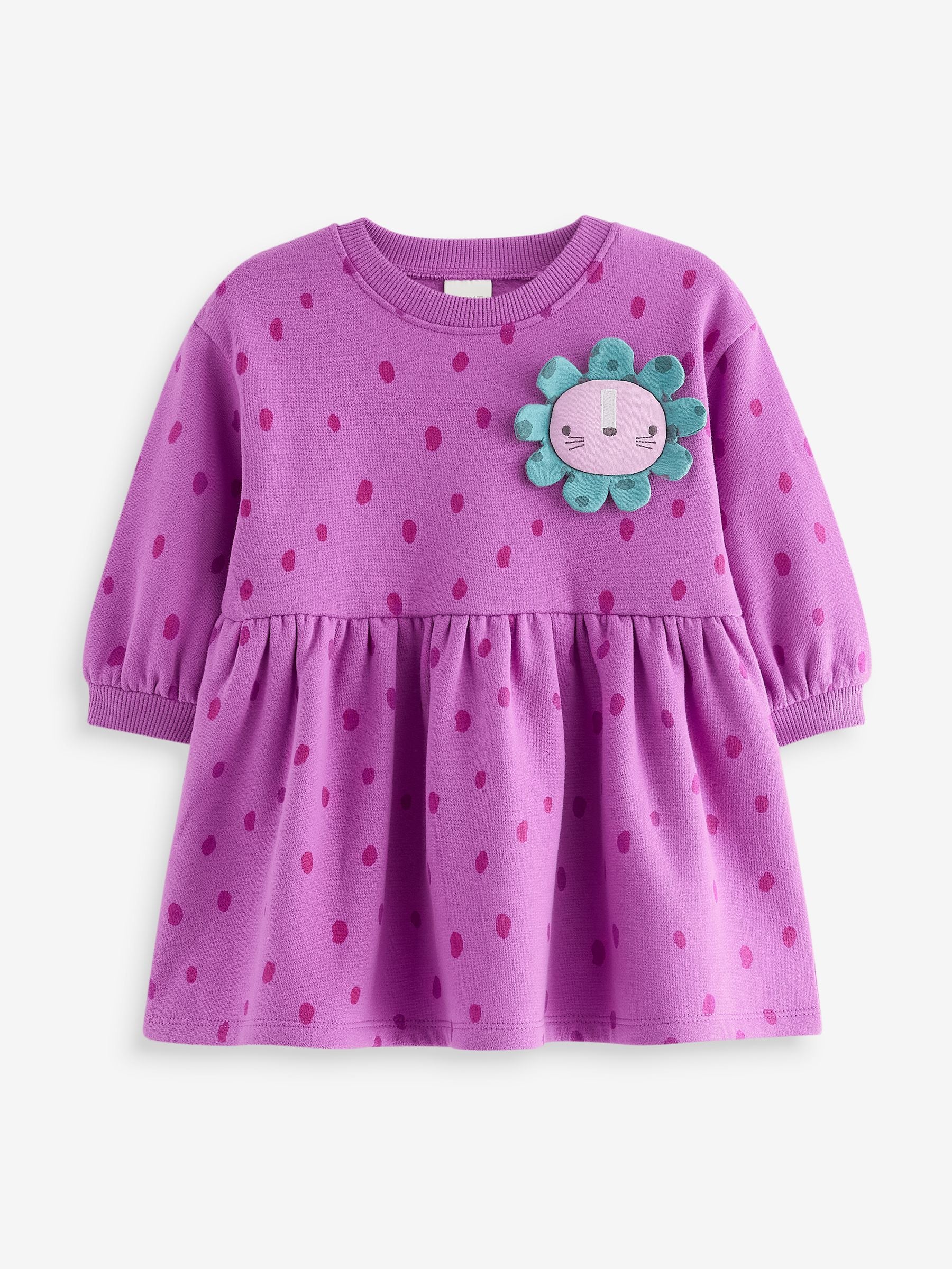 Purple Character Long Sleeve Jumper Dress (3mths-7yrs)